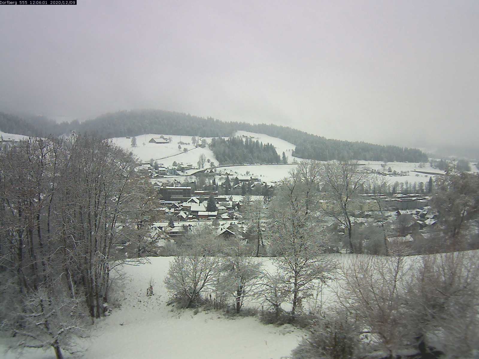 Webcam-Bild: Aussicht vom Dorfberg in Langnau 20201209-120601