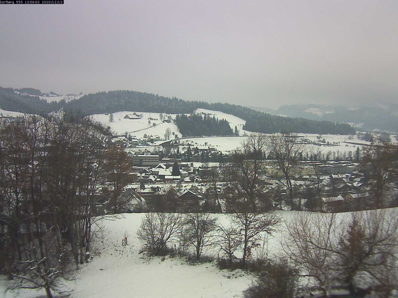 Webcam-Bild: Aussicht vom Dorfberg in Langnau 20201212-120601