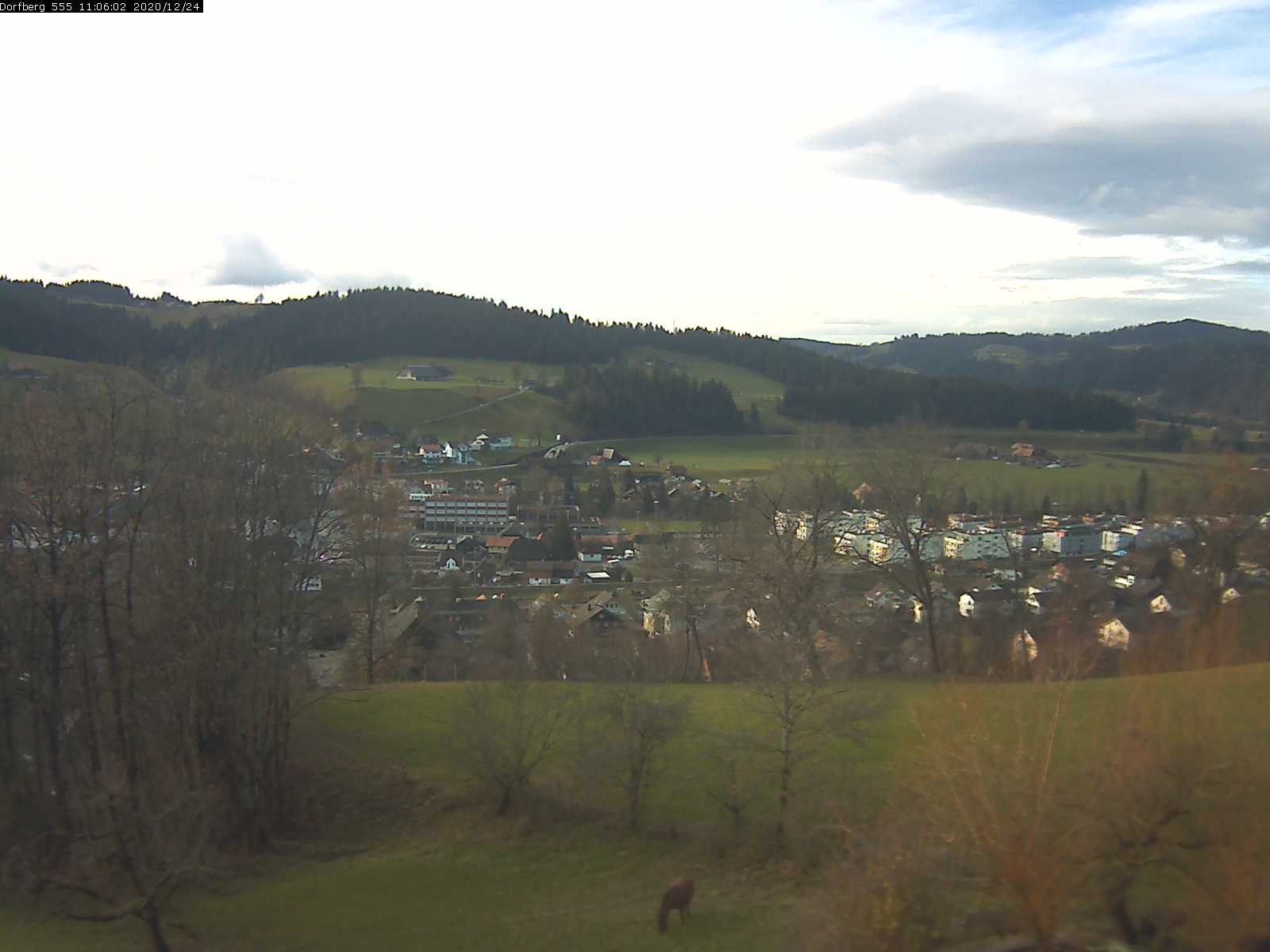 Webcam-Bild: Aussicht vom Dorfberg in Langnau 20201224-110601