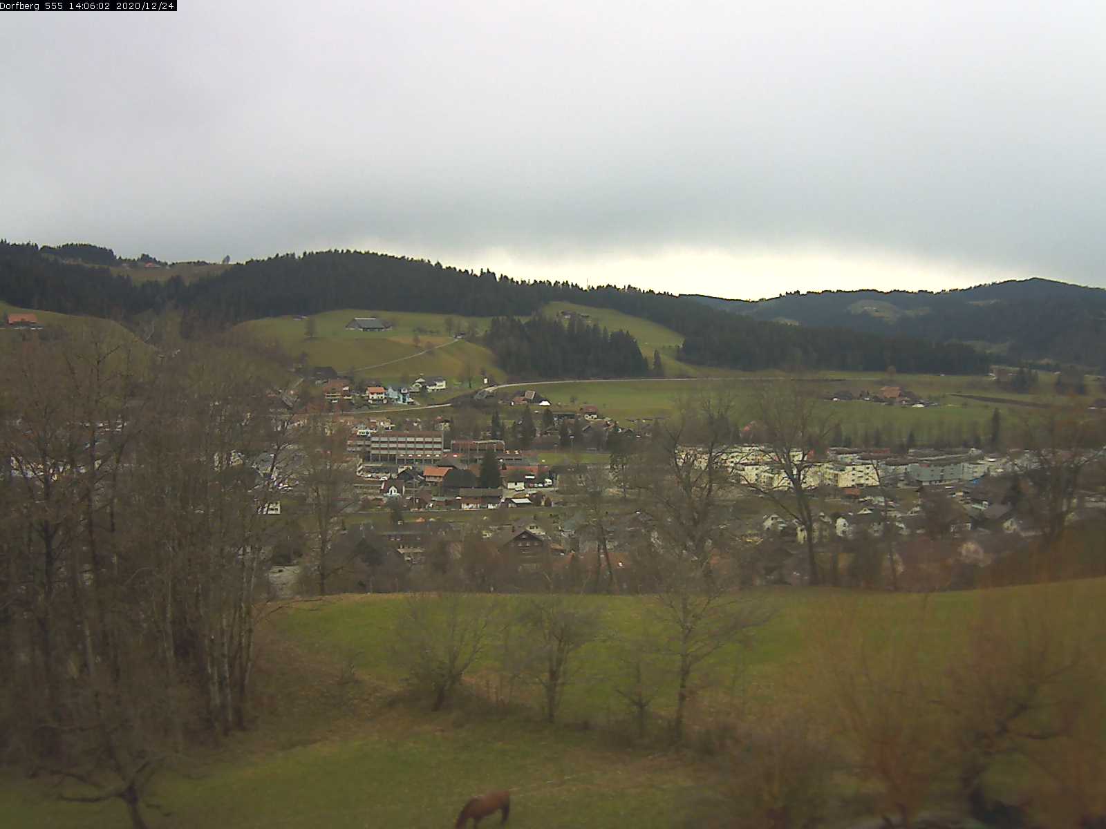 Webcam-Bild: Aussicht vom Dorfberg in Langnau 20201224-140601