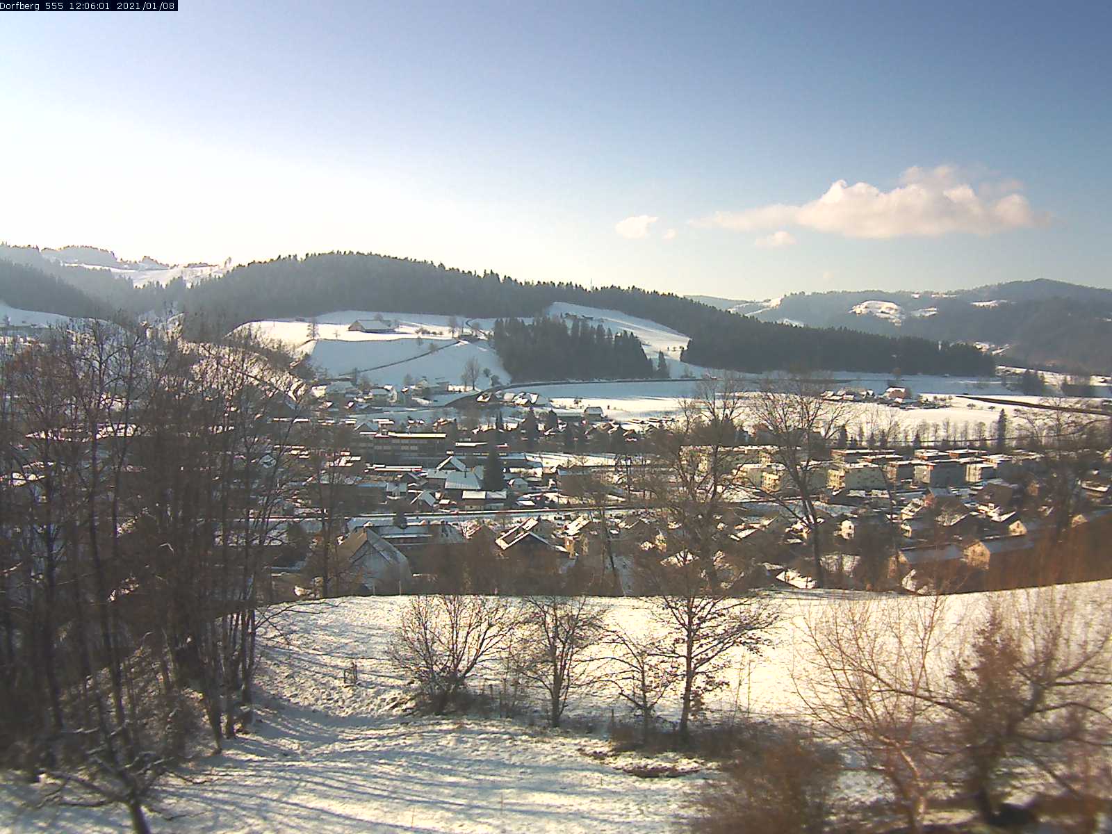 Webcam-Bild: Aussicht vom Dorfberg in Langnau 20210108-120601