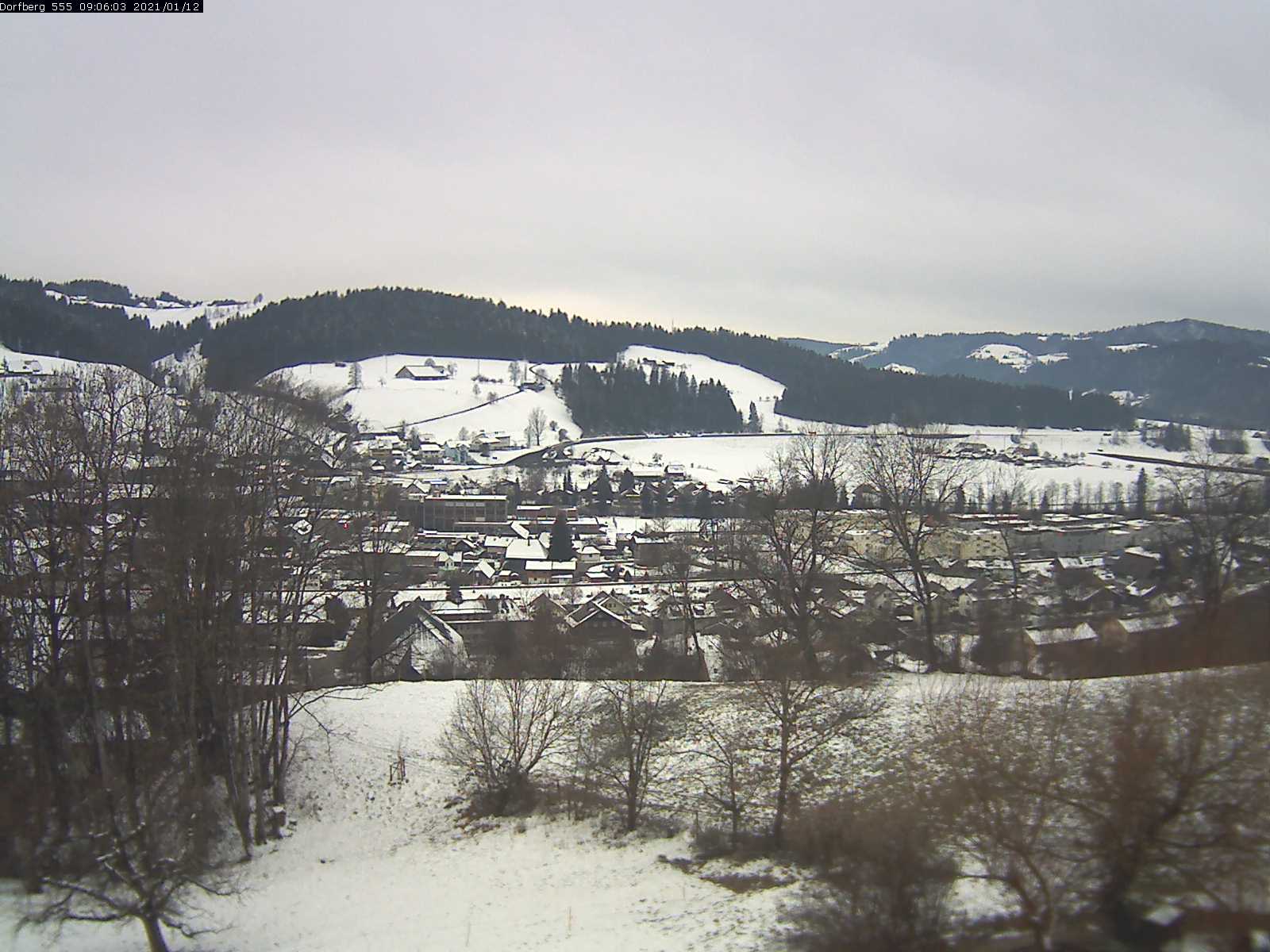 Webcam-Bild: Aussicht vom Dorfberg in Langnau 20210112-090601