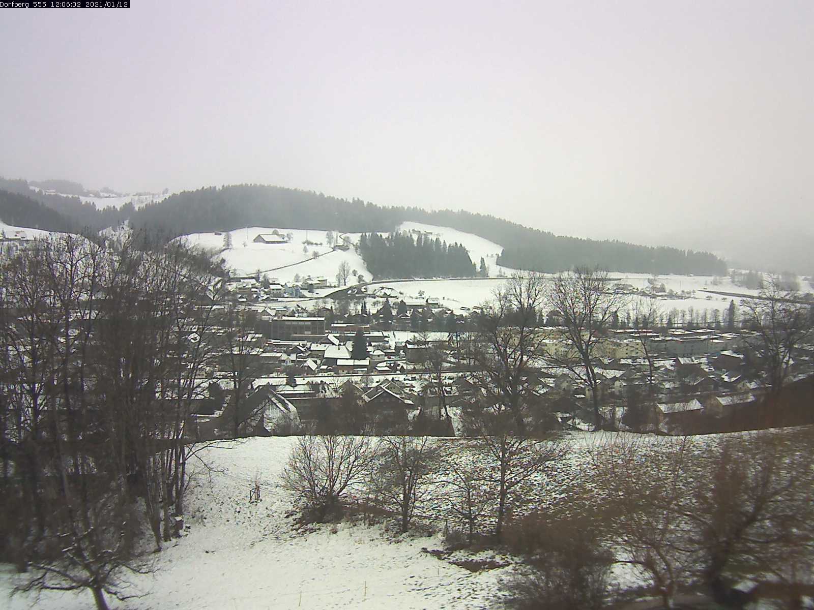Webcam-Bild: Aussicht vom Dorfberg in Langnau 20210112-120601