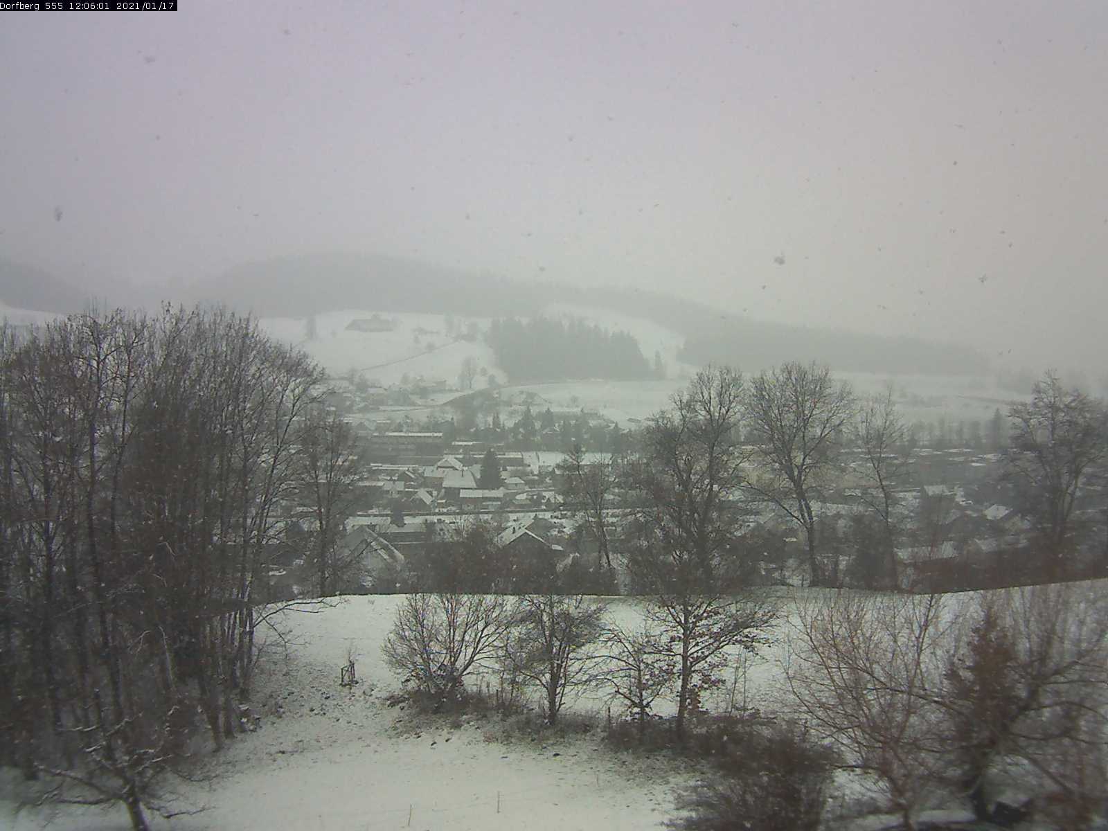 Webcam-Bild: Aussicht vom Dorfberg in Langnau 20210117-120601
