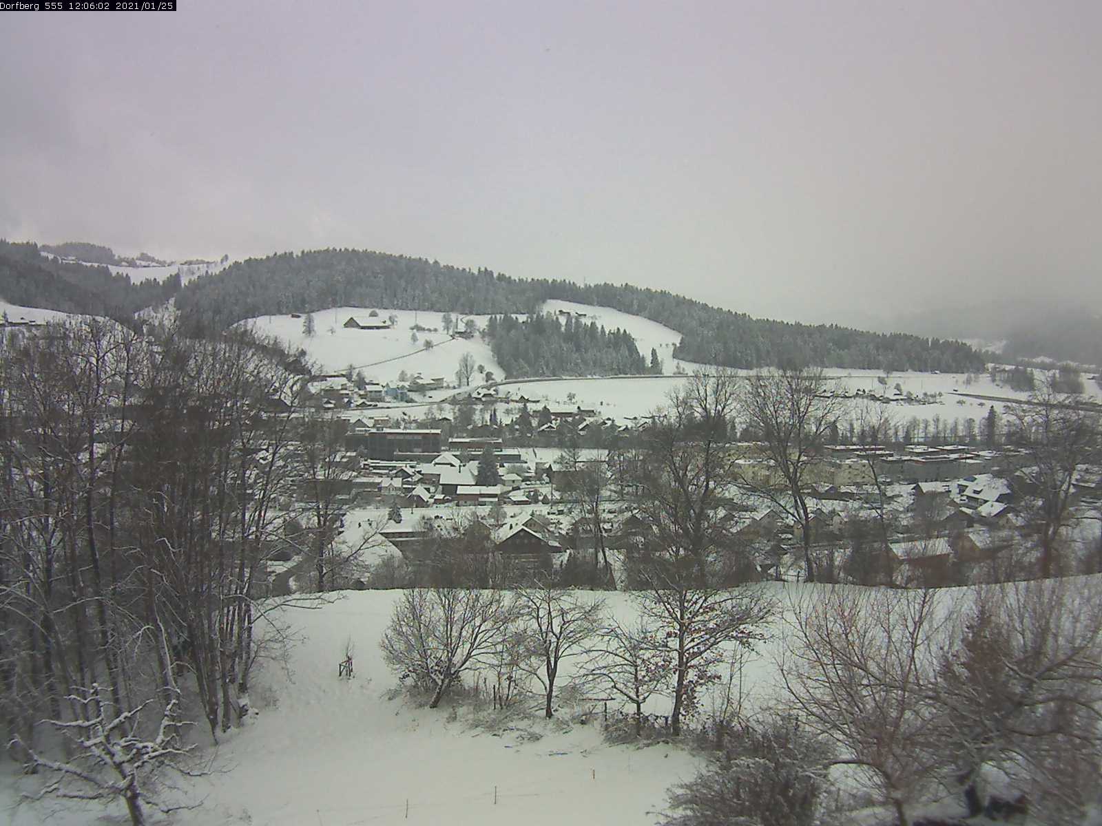 Webcam-Bild: Aussicht vom Dorfberg in Langnau 20210125-120601