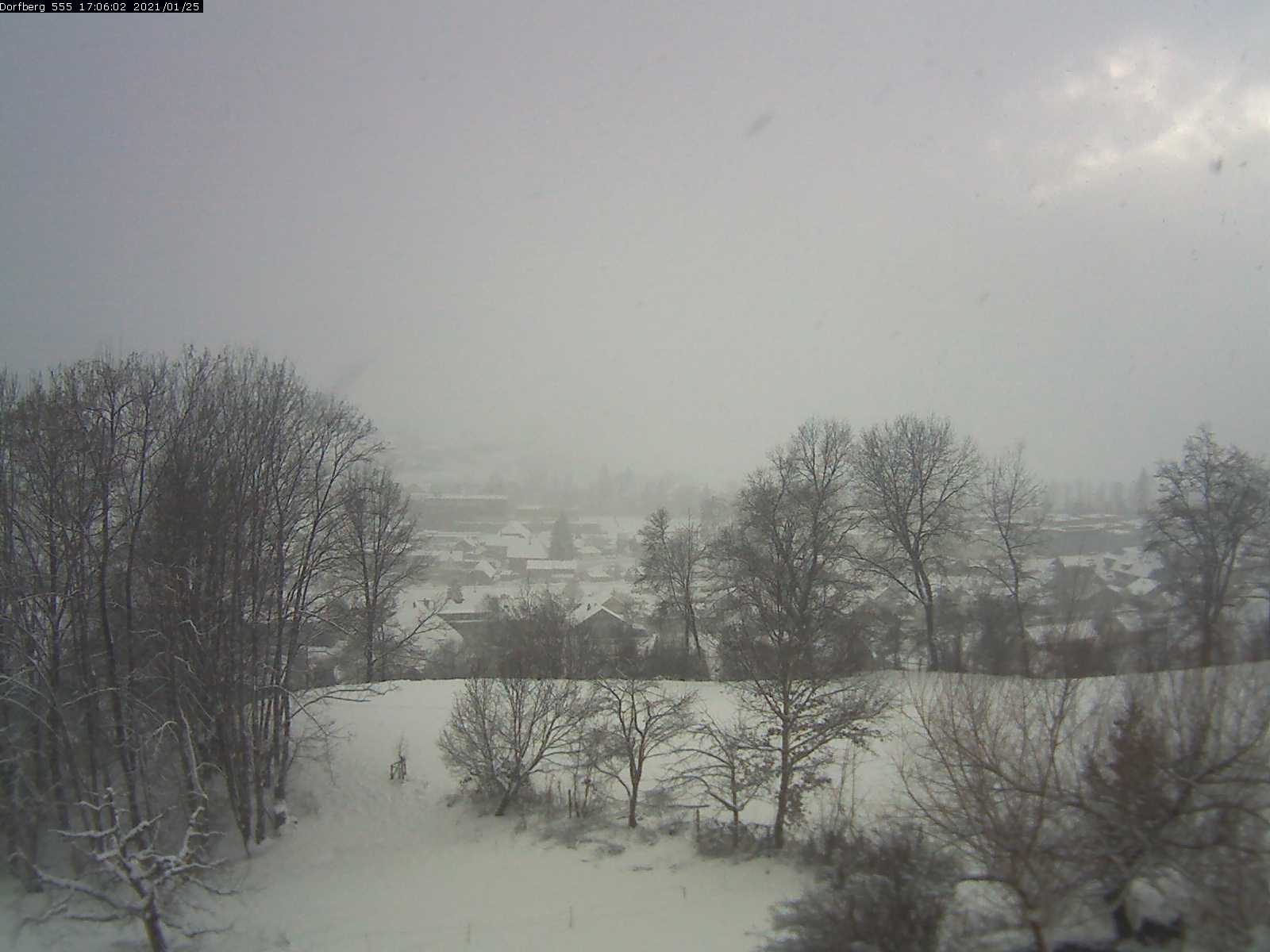 Webcam-Bild: Aussicht vom Dorfberg in Langnau 20210125-170601