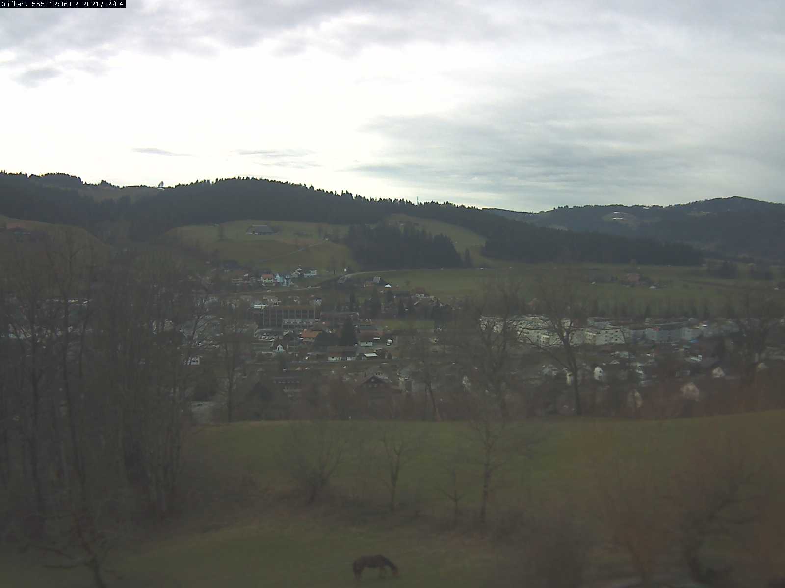 Webcam-Bild: Aussicht vom Dorfberg in Langnau 20210204-120601