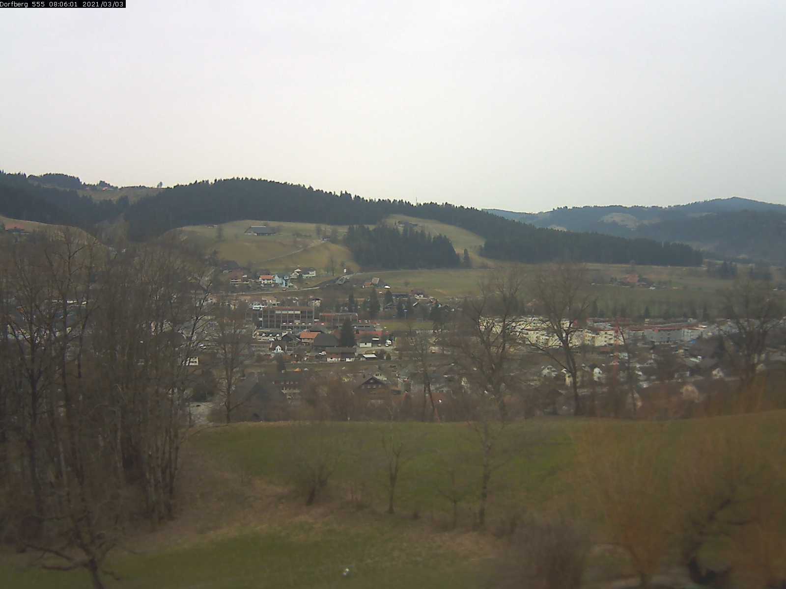 Webcam-Bild: Aussicht vom Dorfberg in Langnau 20210303-080601