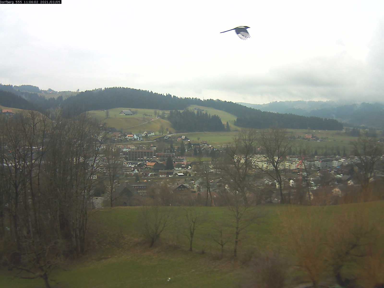 Webcam-Bild: Aussicht vom Dorfberg in Langnau 20210305-110601