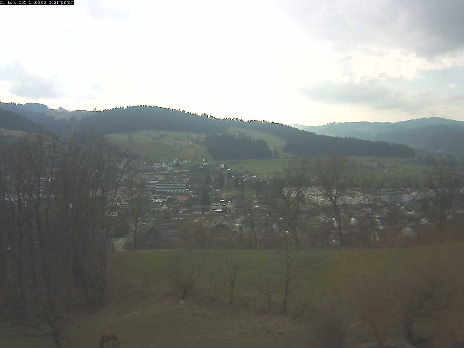 Webcam-Bild: Aussicht vom Dorfberg in Langnau 20210307-140601