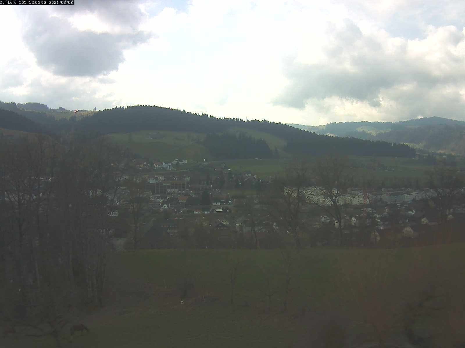 Webcam-Bild: Aussicht vom Dorfberg in Langnau 20210308-120601
