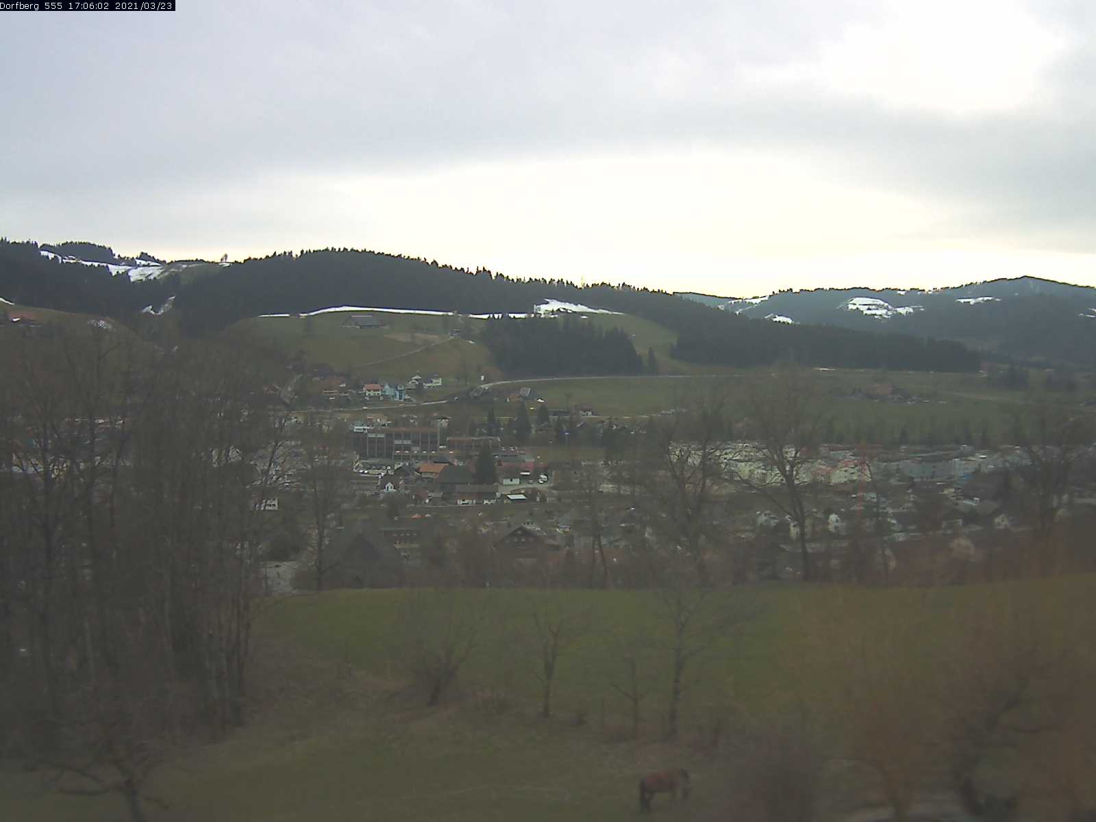 Webcam-Bild: Aussicht vom Dorfberg in Langnau 20210323-170601