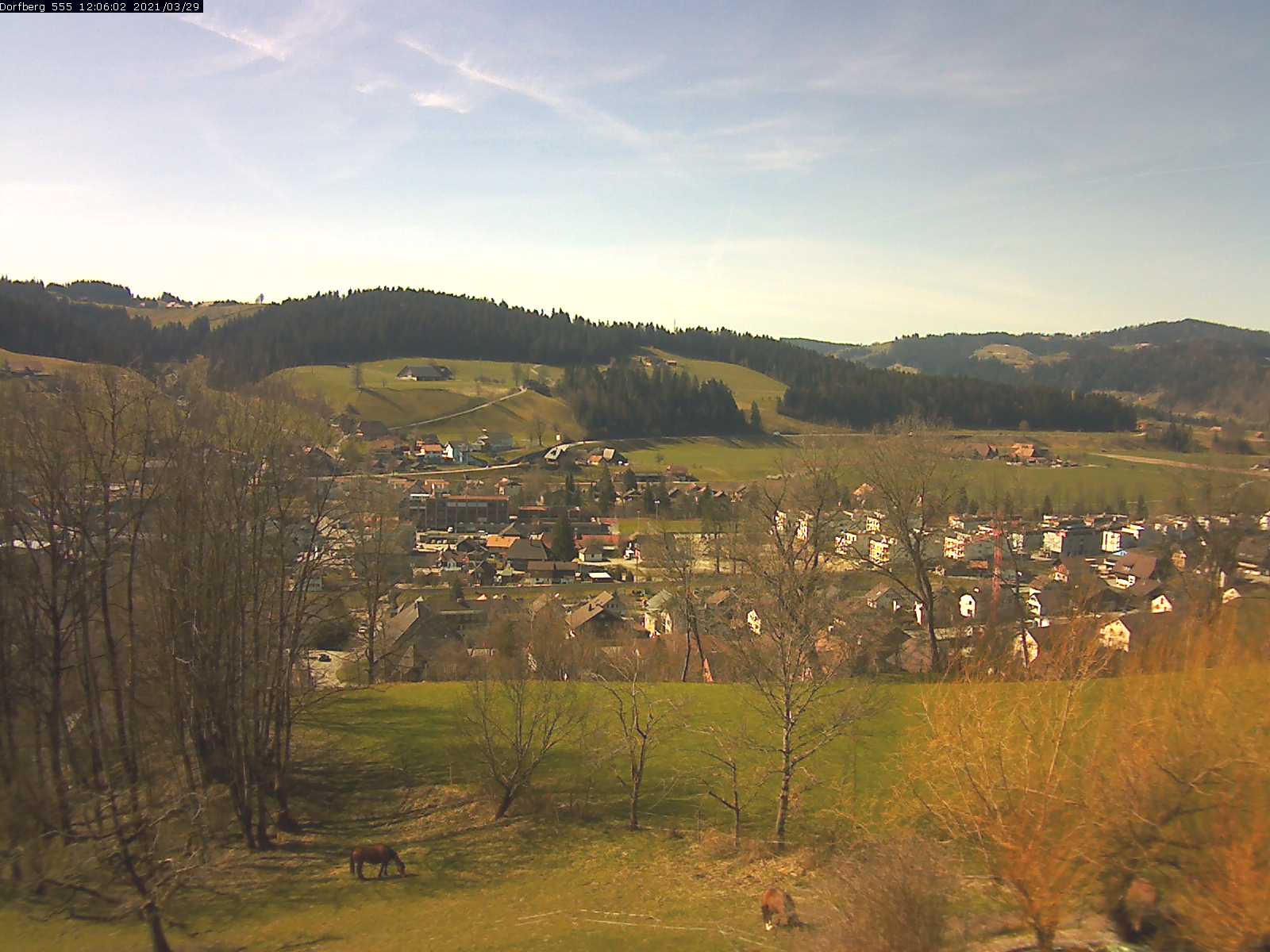 Webcam-Bild: Aussicht vom Dorfberg in Langnau 20210329-120601