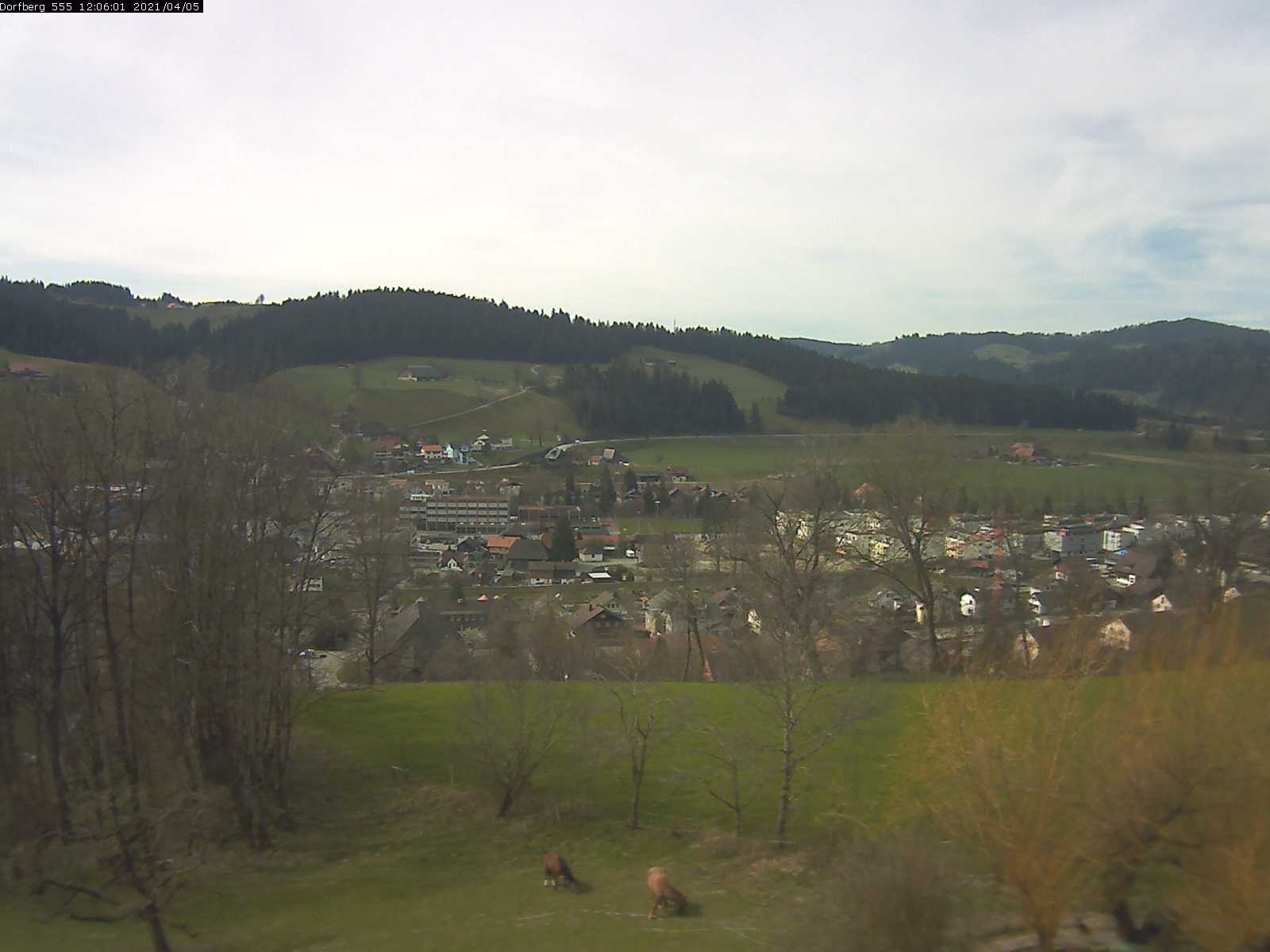 Webcam-Bild: Aussicht vom Dorfberg in Langnau 20210405-120601