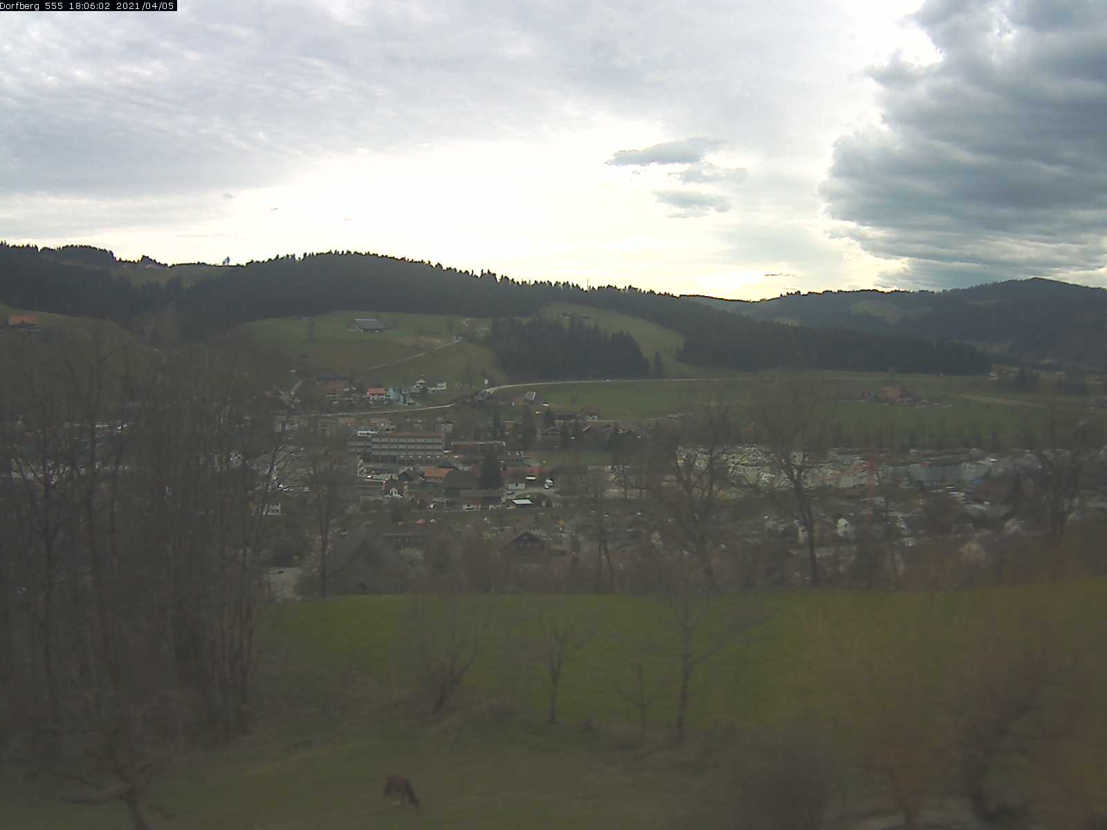 Webcam-Bild: Aussicht vom Dorfberg in Langnau 20210405-180601