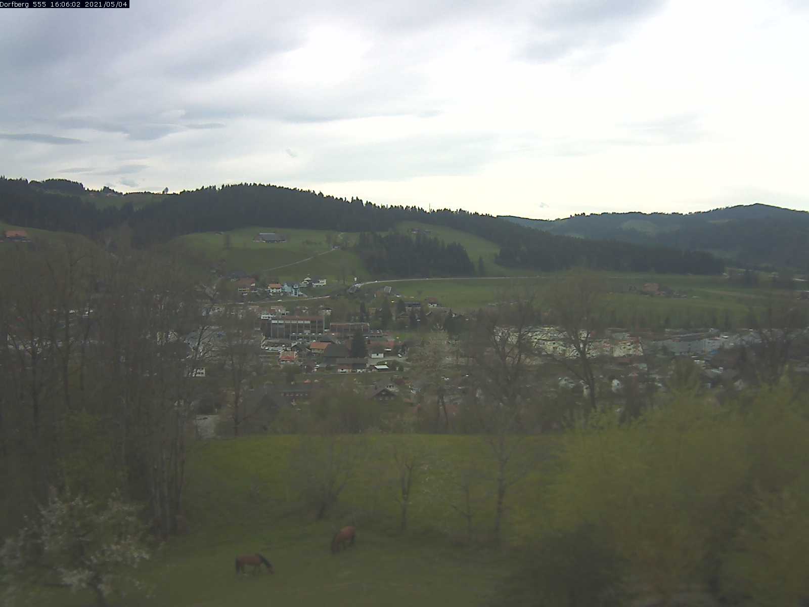 Webcam-Bild: Aussicht vom Dorfberg in Langnau 20210504-160601