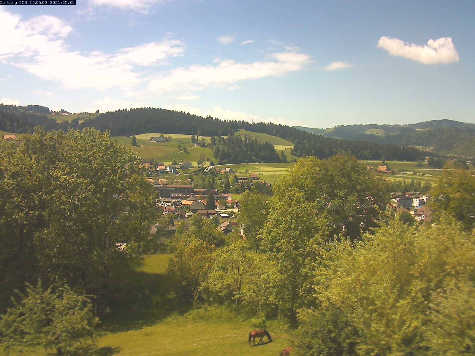 Webcam-Bild: Aussicht vom Dorfberg in Langnau 20210531-120601
