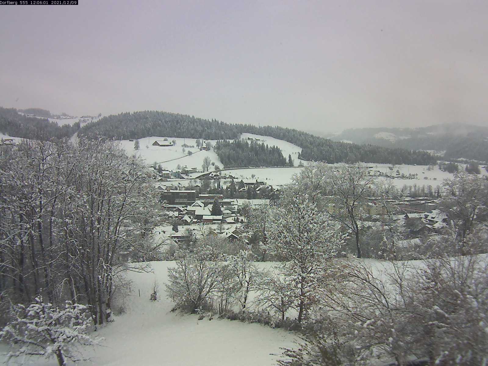 Webcam-Bild: Aussicht vom Dorfberg in Langnau 20211209-120601