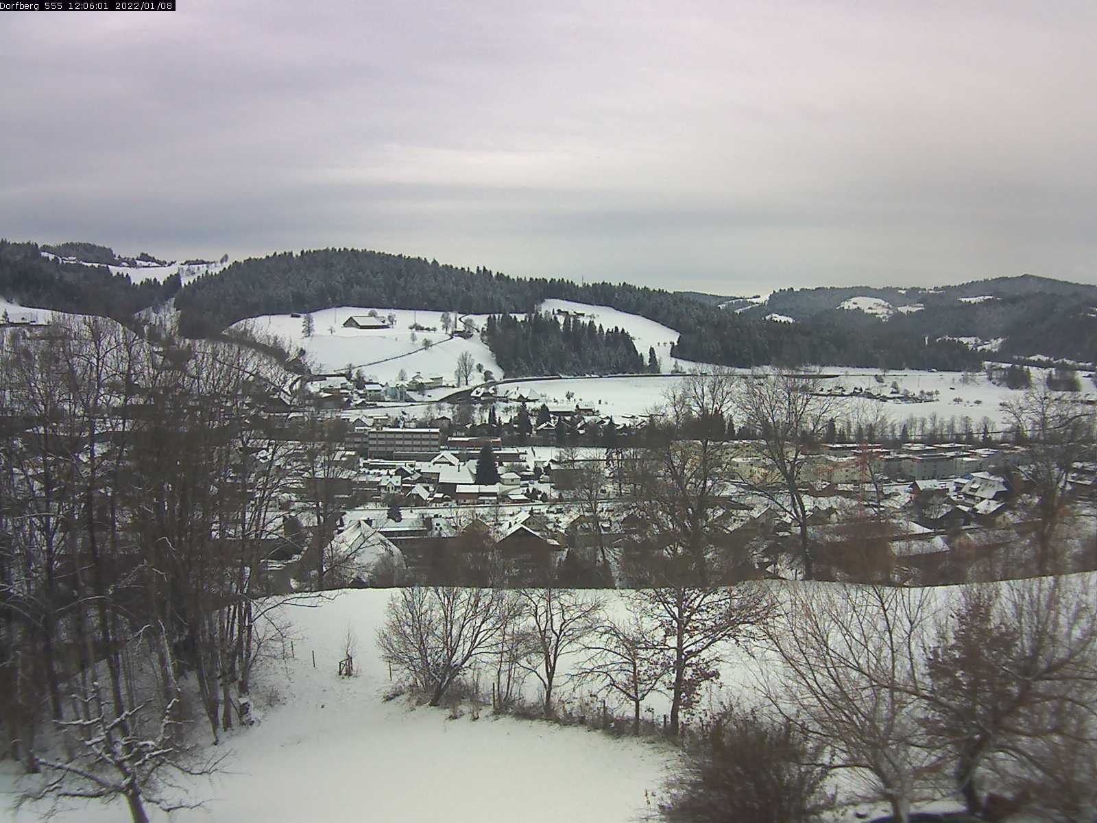 Webcam-Bild: Aussicht vom Dorfberg in Langnau 20220108-120601
