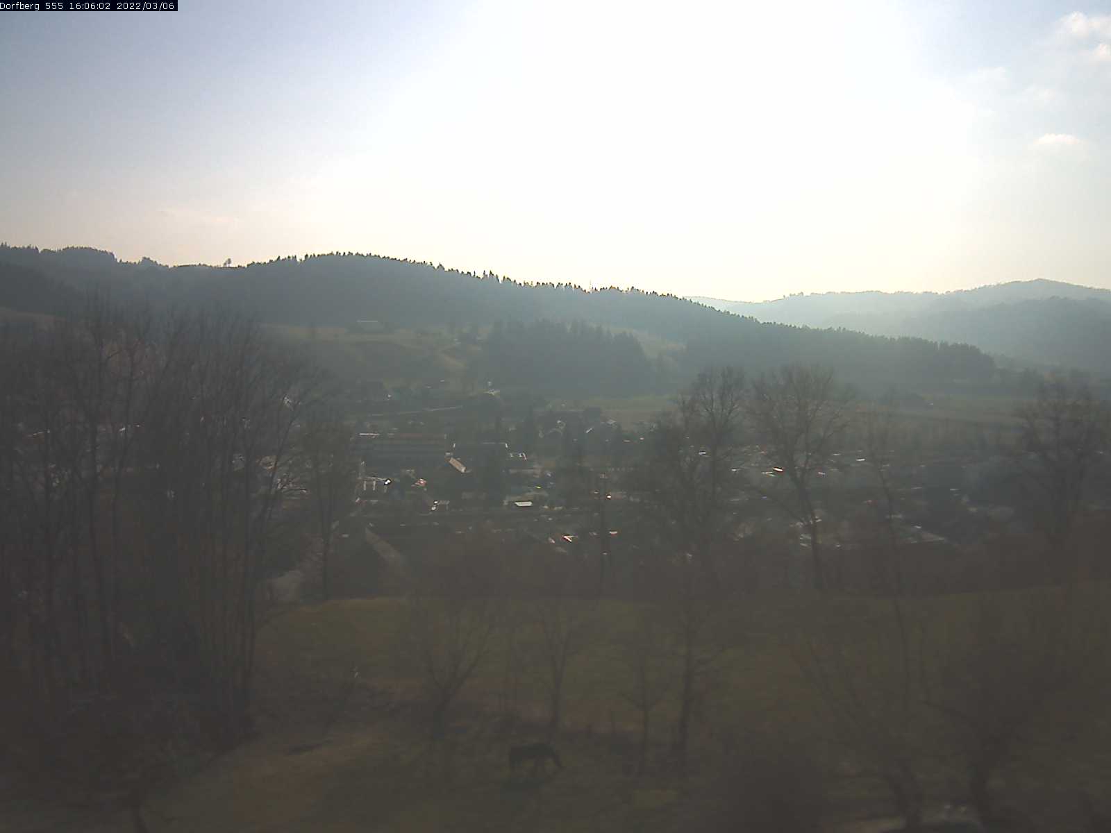 Webcam-Bild: Aussicht vom Dorfberg in Langnau 20220306-160602