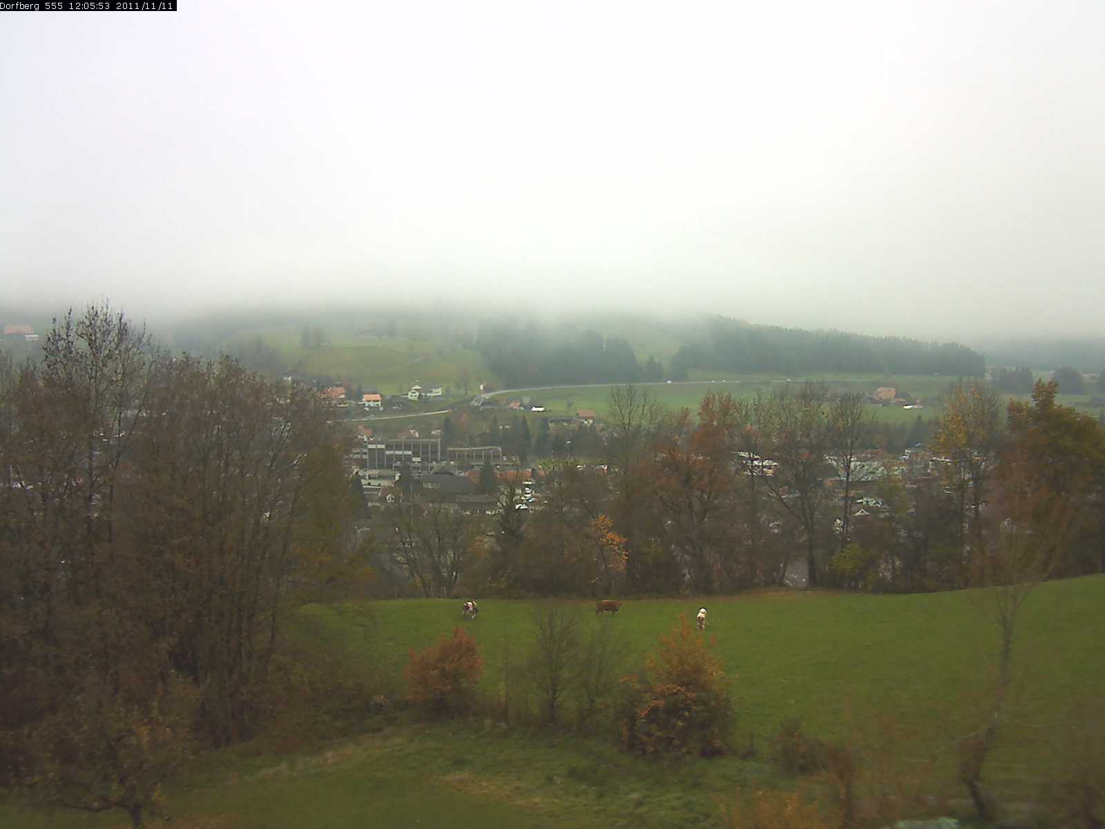 Webcam-Bild: Aussicht vom Dorfberg in Langnau 20111111-120600