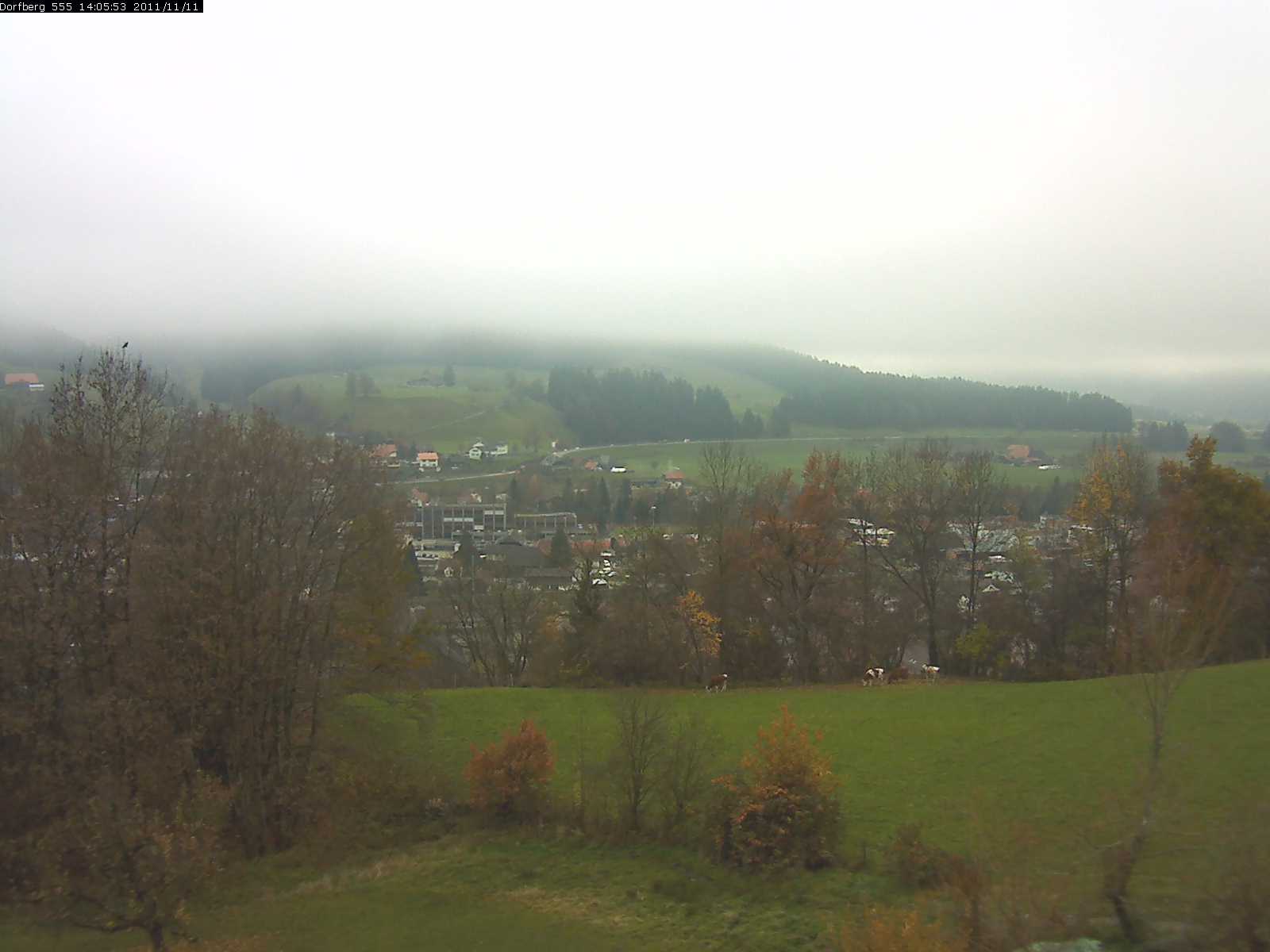 Webcam-Bild: Aussicht vom Dorfberg in Langnau 20111111-140600