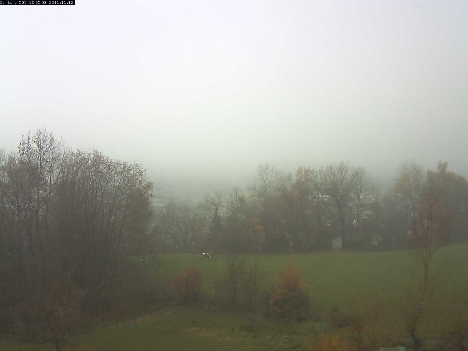 Webcam-Bild: Aussicht vom Dorfberg in Langnau 20111112-100600