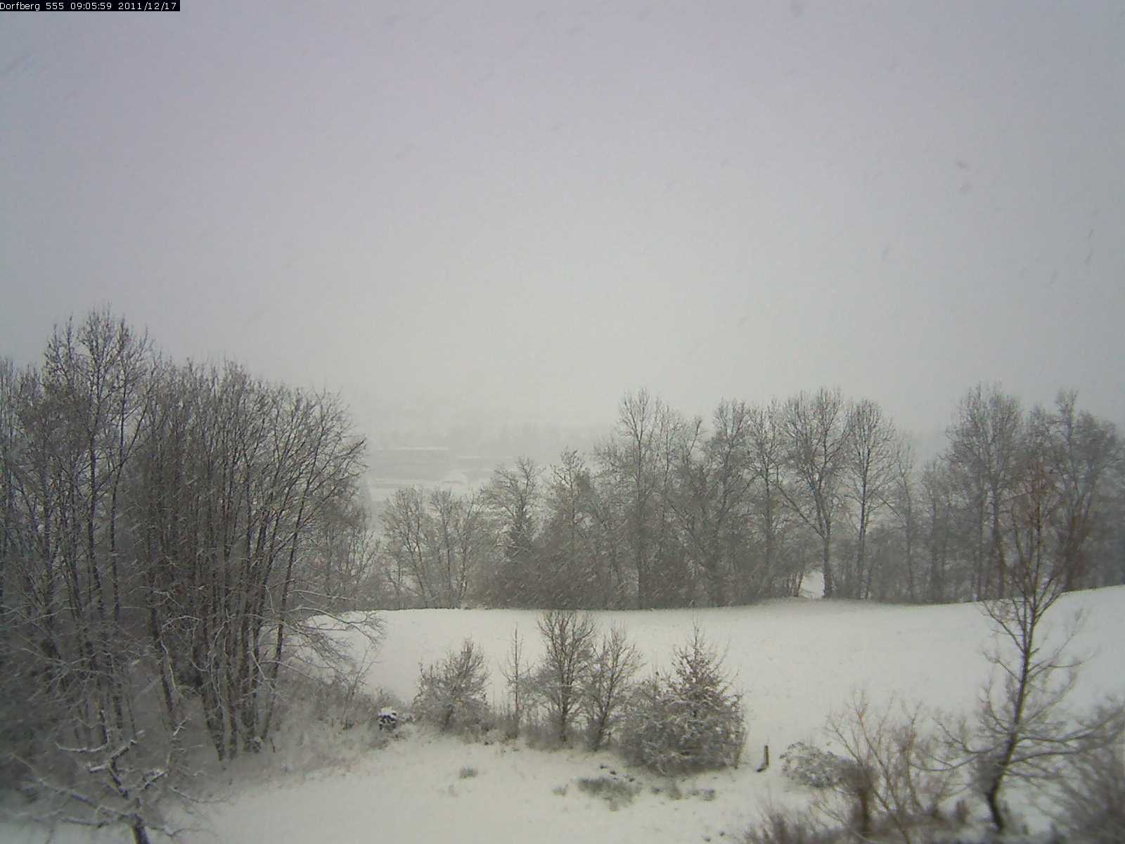 Webcam-Bild: Aussicht vom Dorfberg in Langnau 20111217-090600