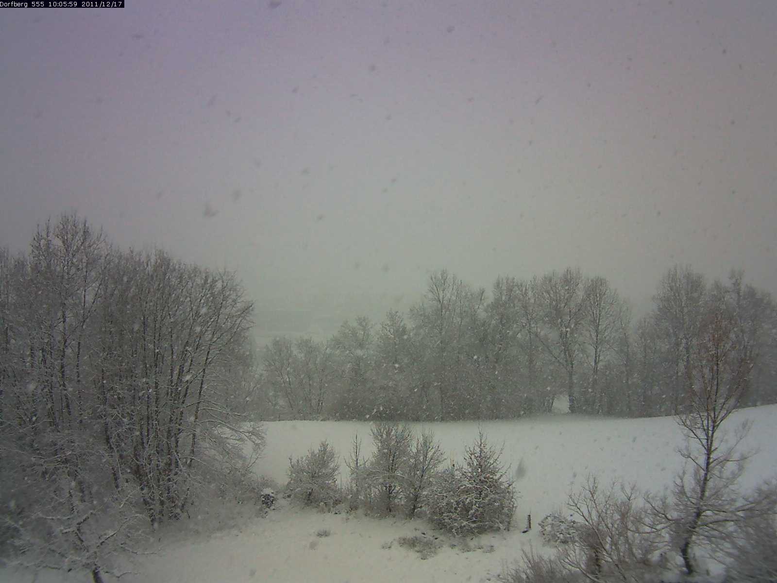 Webcam-Bild: Aussicht vom Dorfberg in Langnau 20111217-100600
