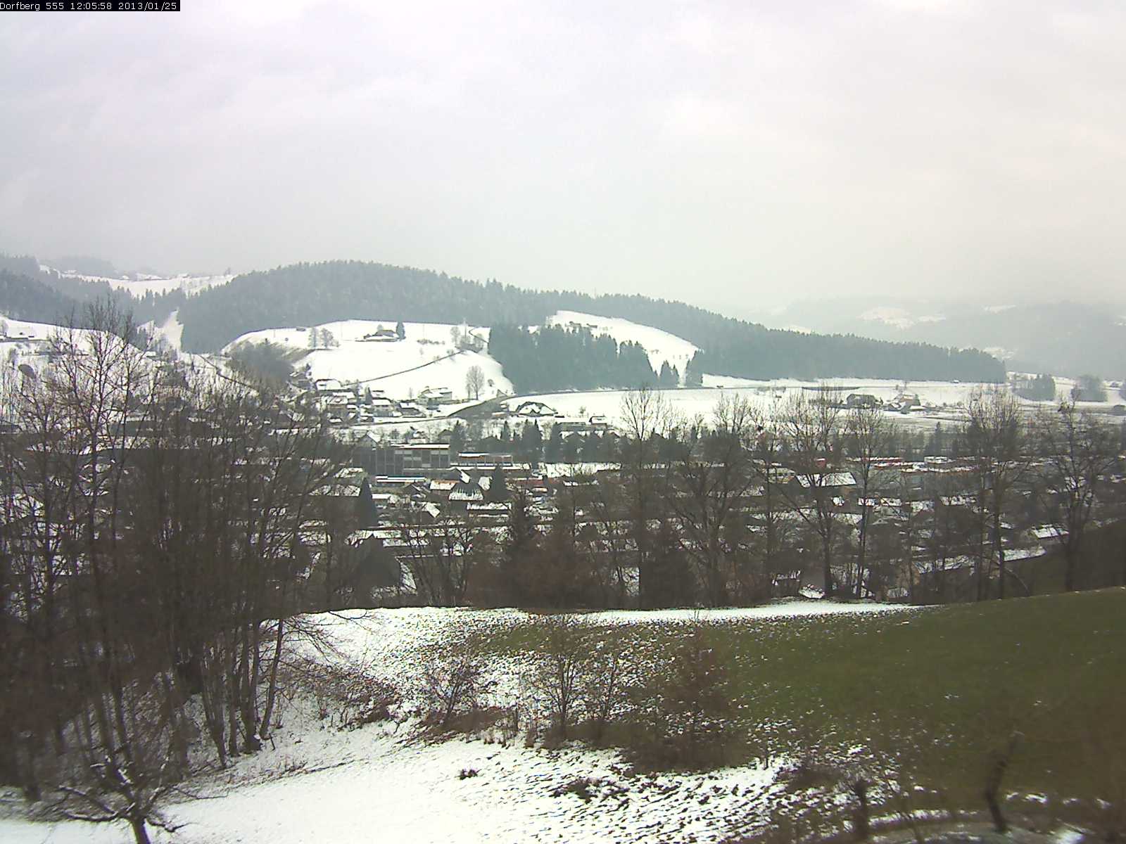 Webcam-Bild: Aussicht vom Dorfberg in Langnau 20130125-120600