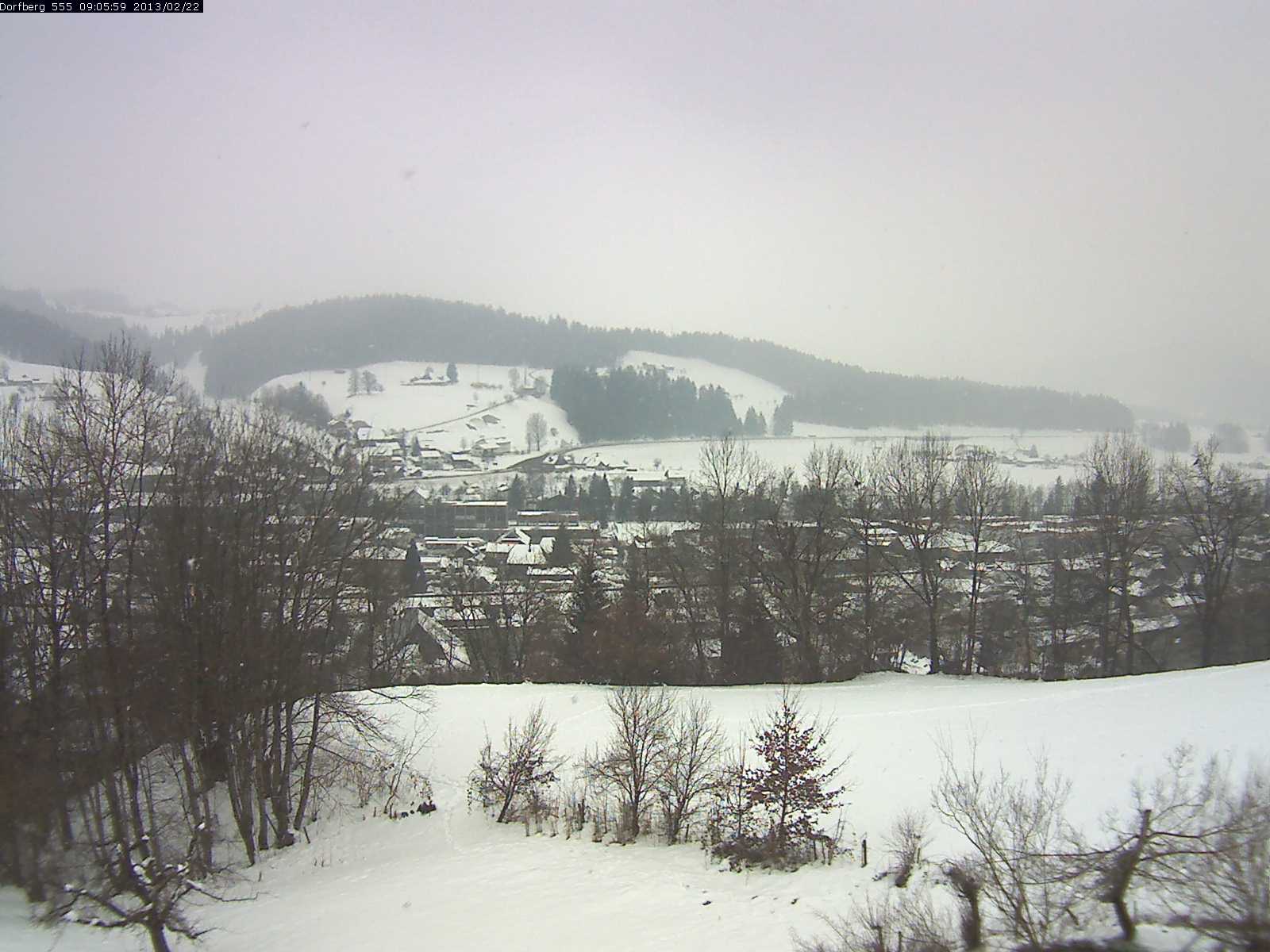 Webcam-Bild: Aussicht vom Dorfberg in Langnau 20130222-090600