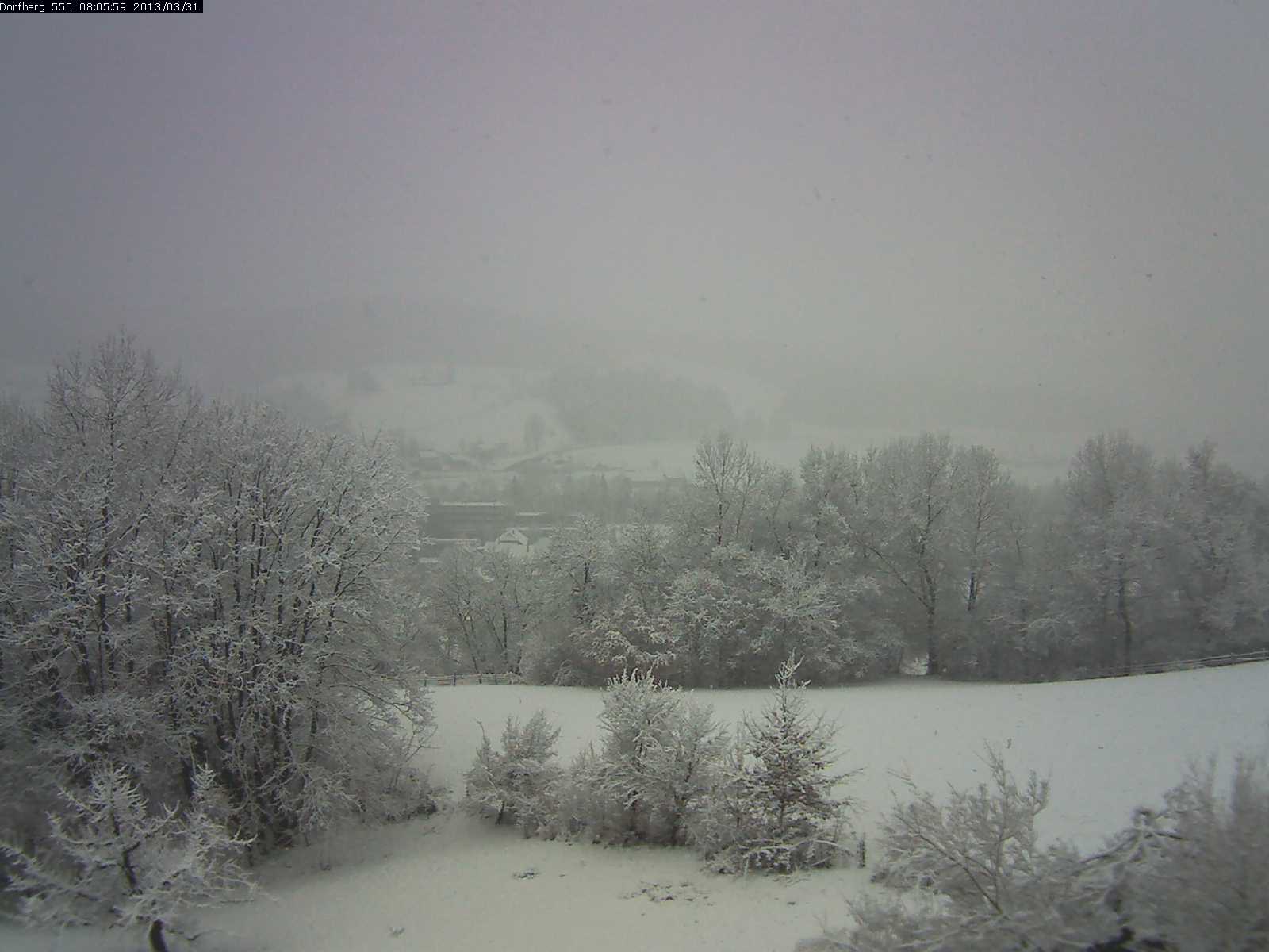 Webcam-Bild: Aussicht vom Dorfberg in Langnau 20130331-080600