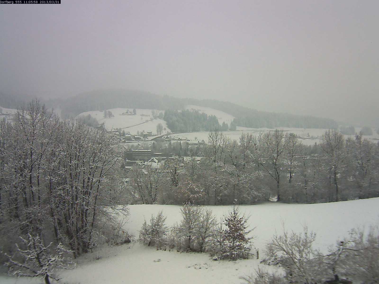 Webcam-Bild: Aussicht vom Dorfberg in Langnau 20130331-110600