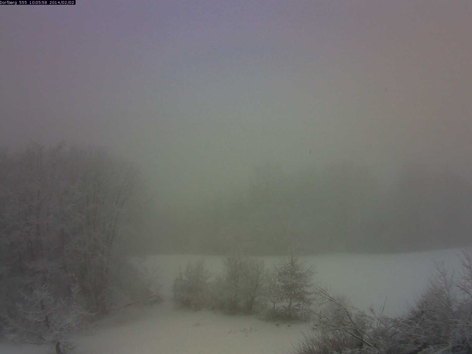 Webcam-Bild: Aussicht vom Dorfberg in Langnau 20140202-100600