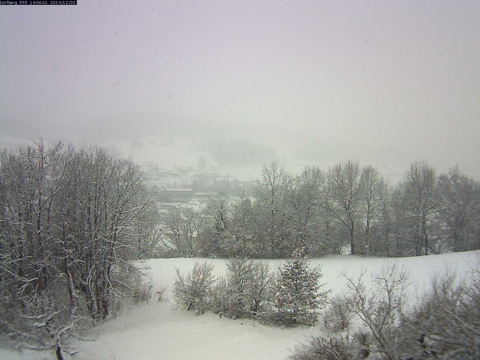 Webcam-Bild: Aussicht vom Dorfberg in Langnau 20141230-140601