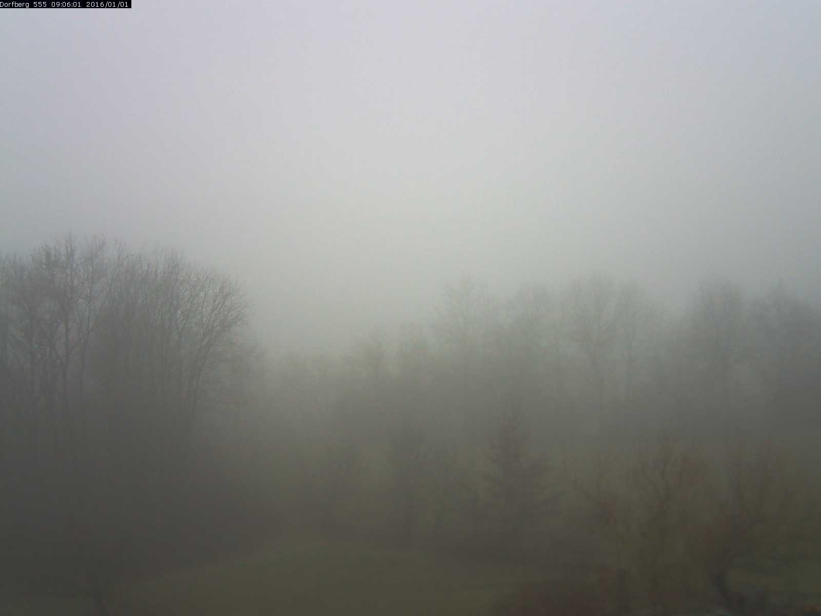 Webcam-Bild: Aussicht vom Dorfberg in Langnau 20160101-090601