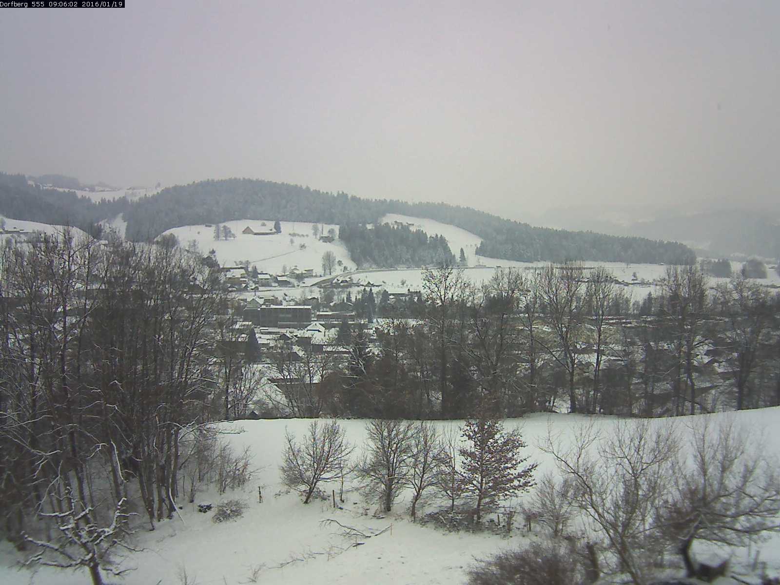 Webcam-Bild: Aussicht vom Dorfberg in Langnau 20160119-090601