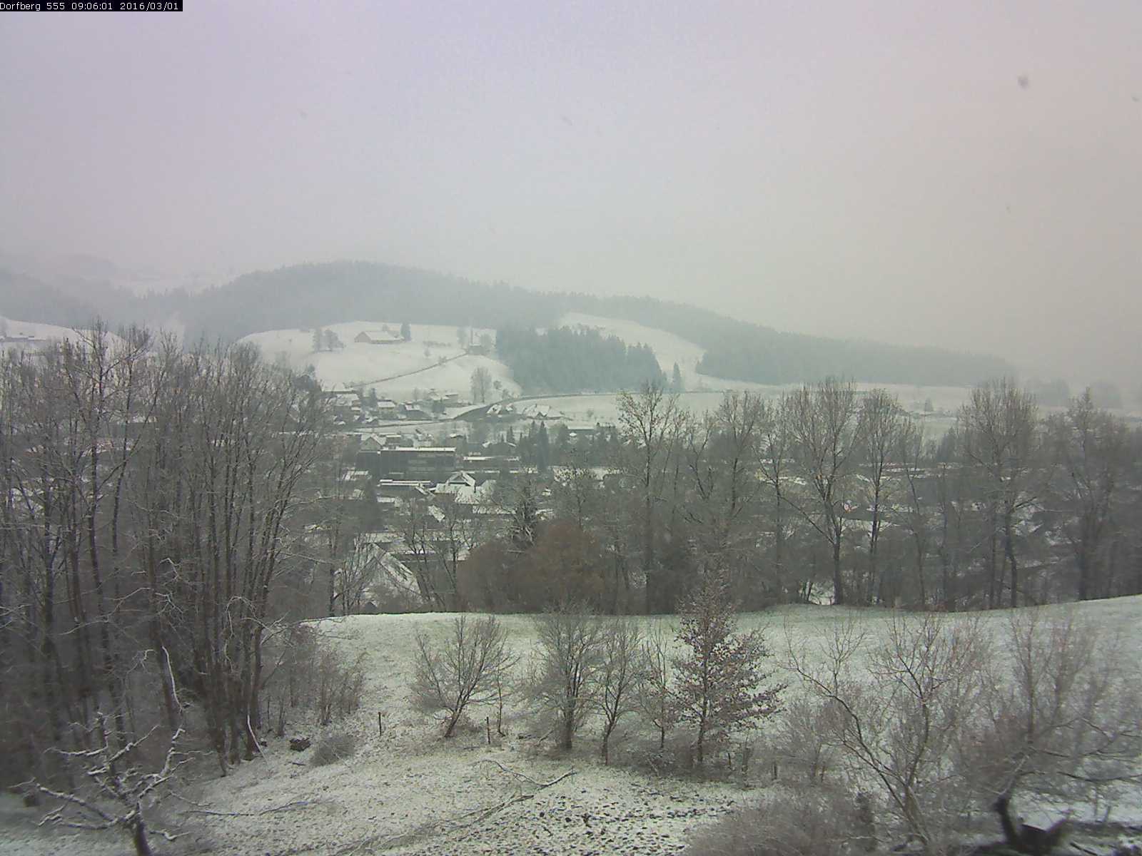 Webcam-Bild: Aussicht vom Dorfberg in Langnau 20160301-090601