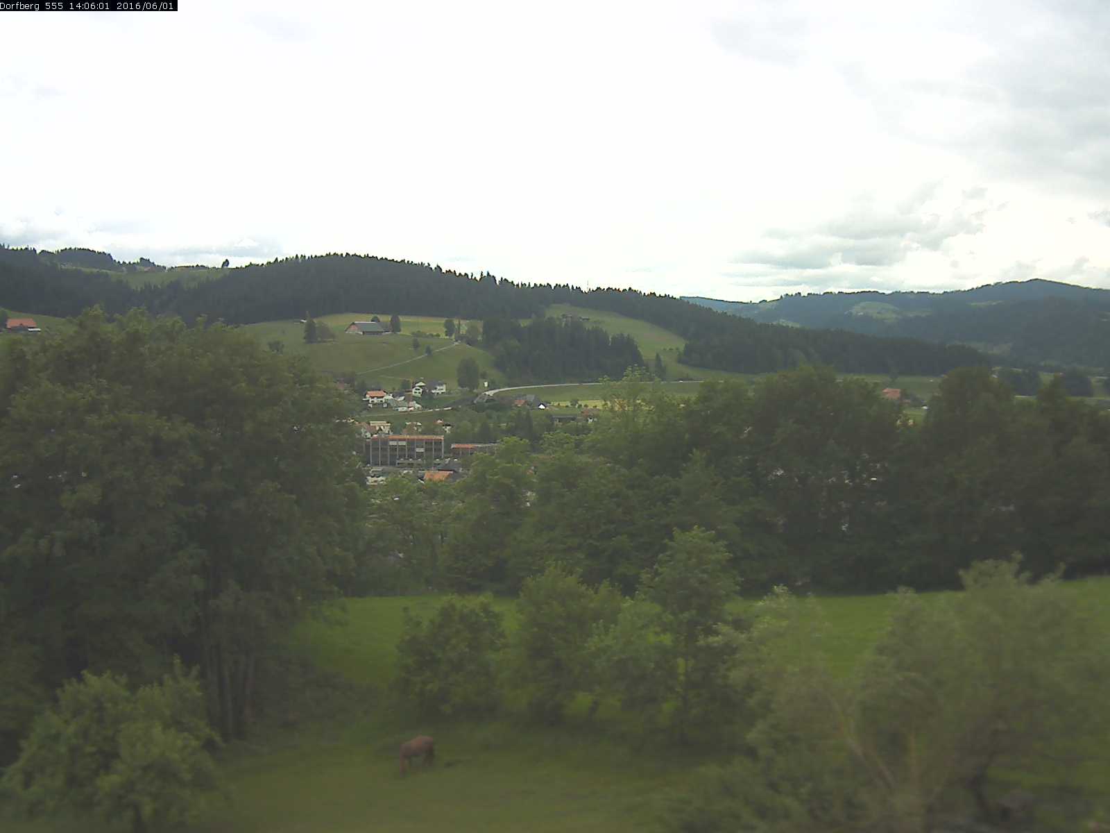 Webcam-Bild: Aussicht vom Dorfberg in Langnau 20160601-140601