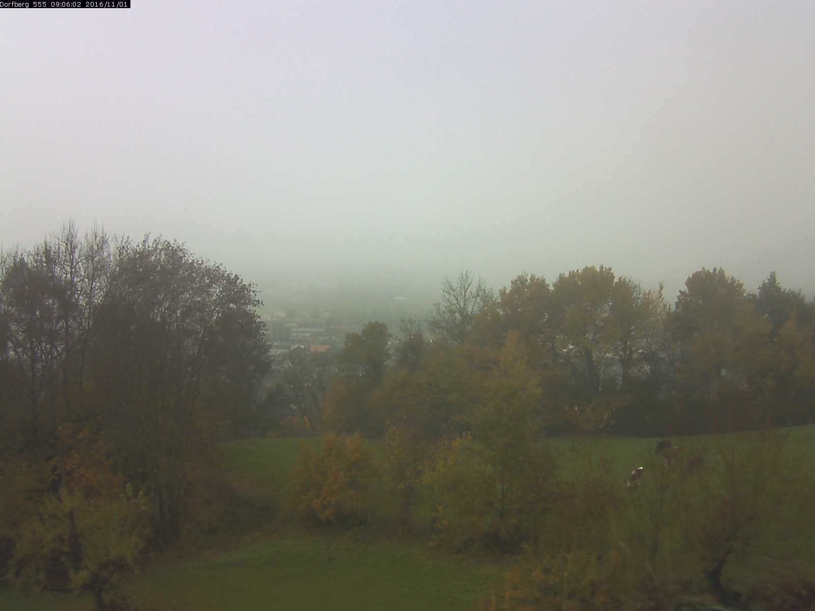 Webcam-Bild: Aussicht vom Dorfberg in Langnau 20161101-090601