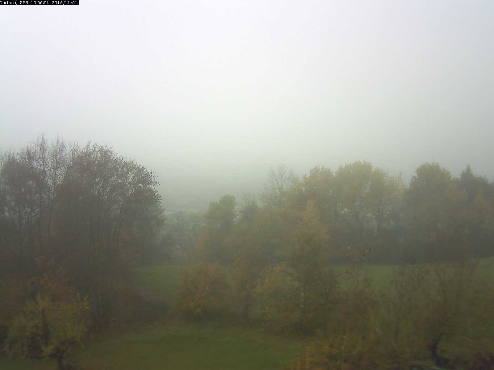 Webcam-Bild: Aussicht vom Dorfberg in Langnau 20161101-100601