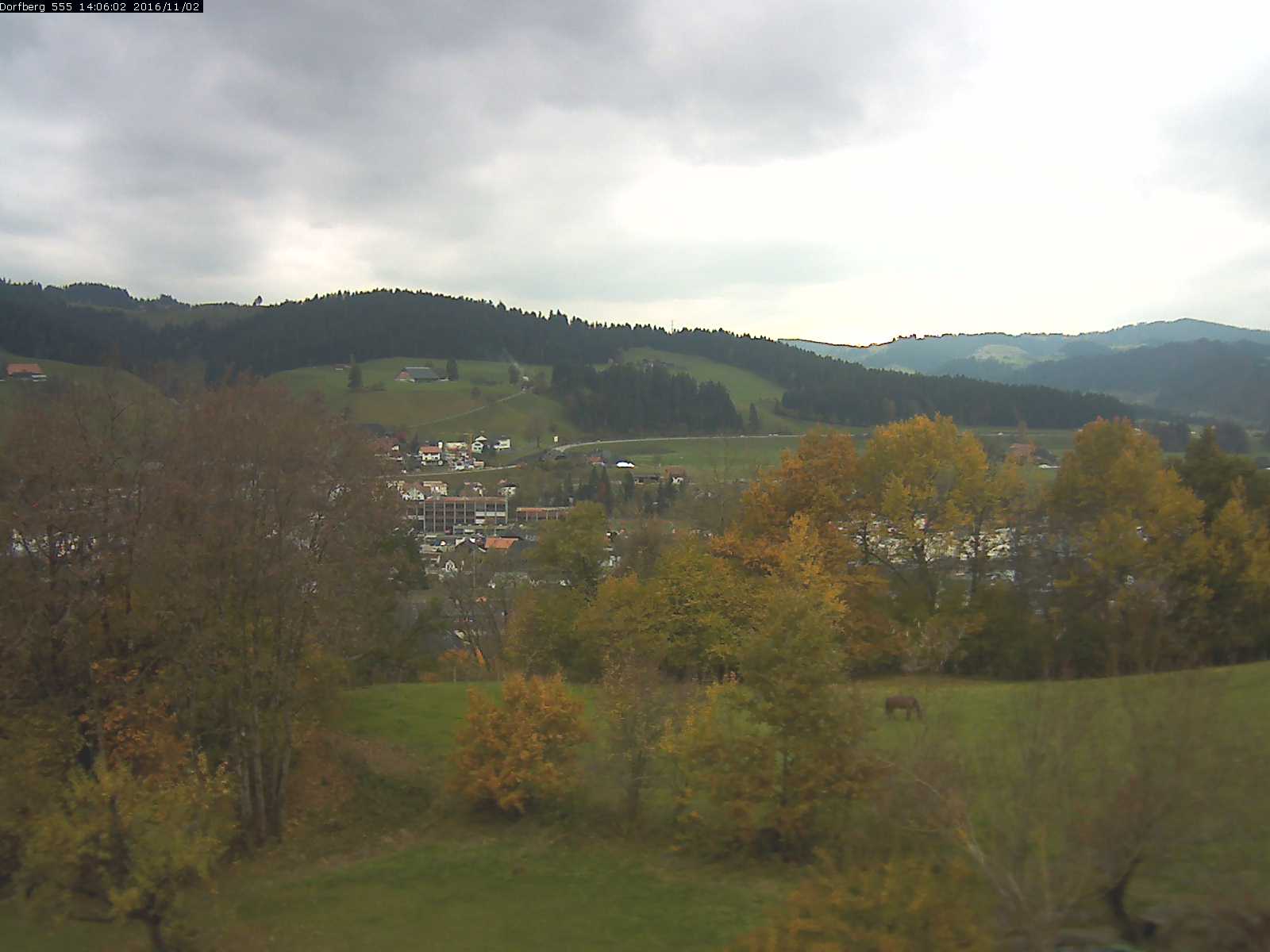 Webcam-Bild: Aussicht vom Dorfberg in Langnau 20161102-140601