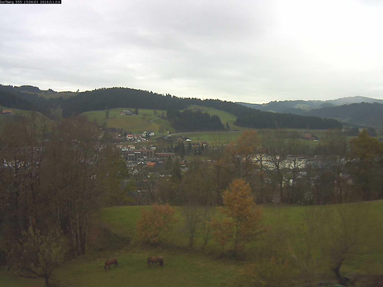 Webcam-Bild: Aussicht vom Dorfberg in Langnau 20161116-150601