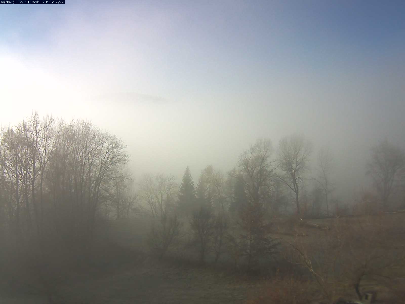 Webcam-Bild: Aussicht vom Dorfberg in Langnau 20161229-110601