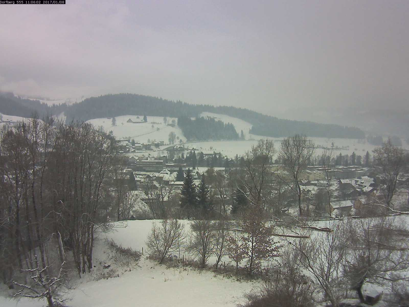 Webcam-Bild: Aussicht vom Dorfberg in Langnau 20170108-110601