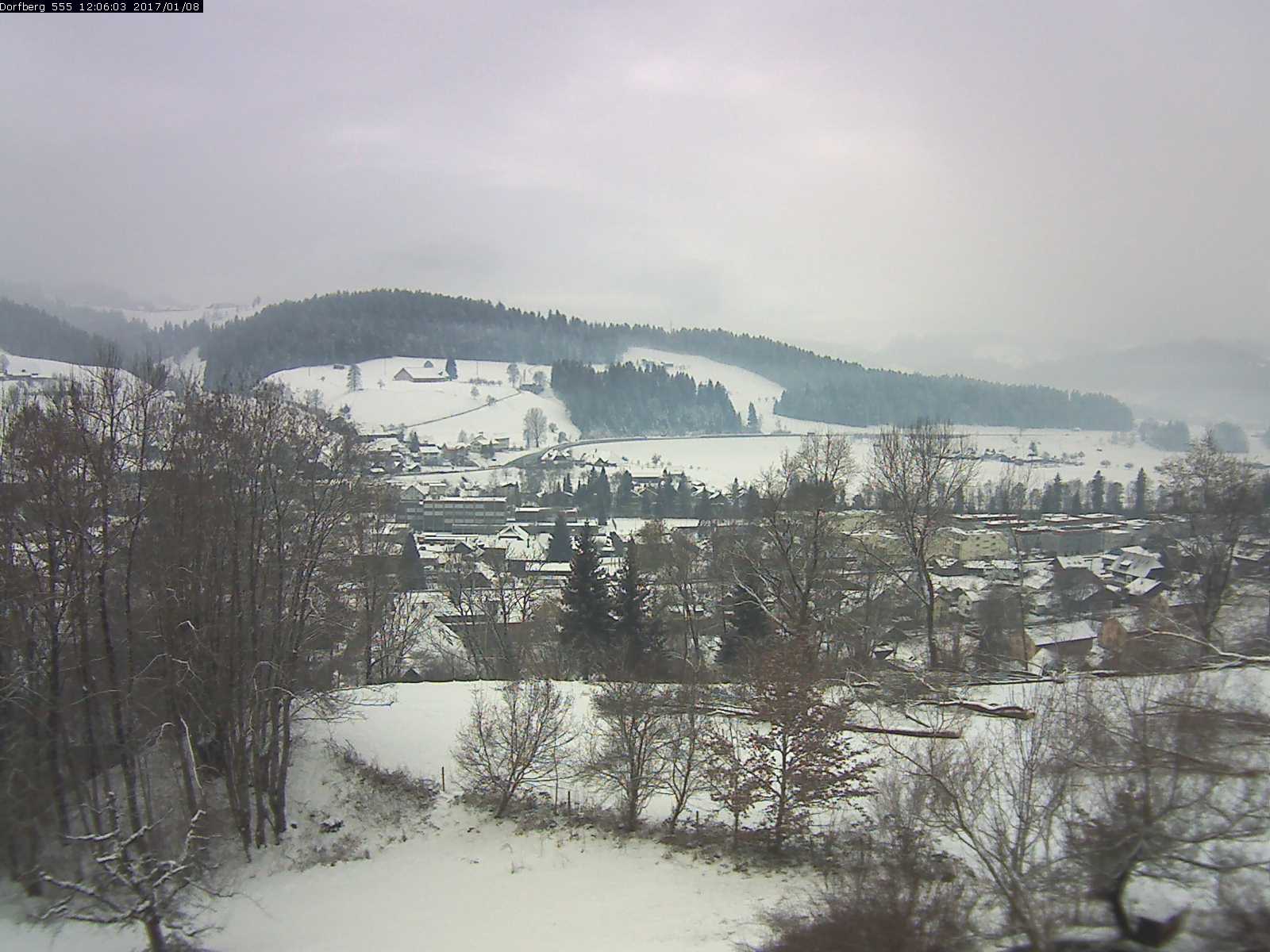 Webcam-Bild: Aussicht vom Dorfberg in Langnau 20170108-120601