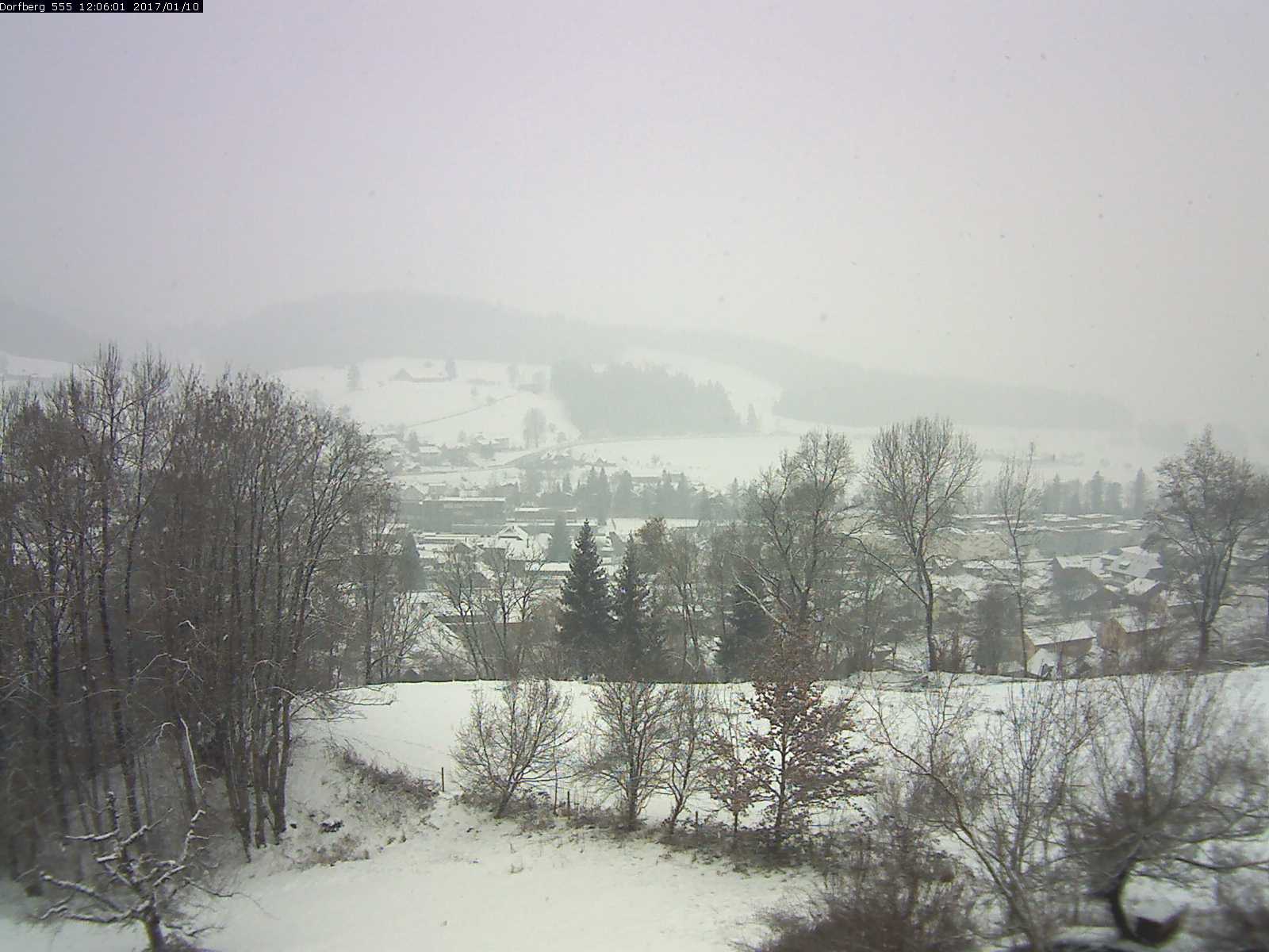 Webcam-Bild: Aussicht vom Dorfberg in Langnau 20170110-120601