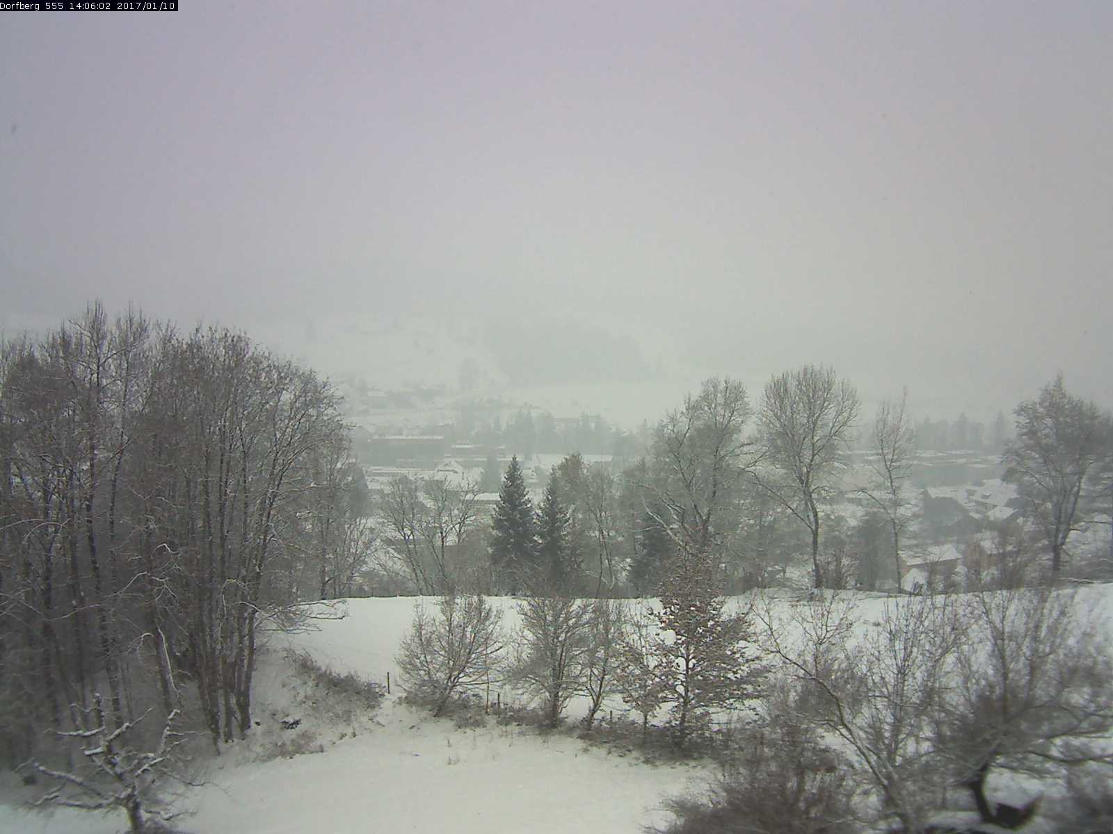 Webcam-Bild: Aussicht vom Dorfberg in Langnau 20170110-140601