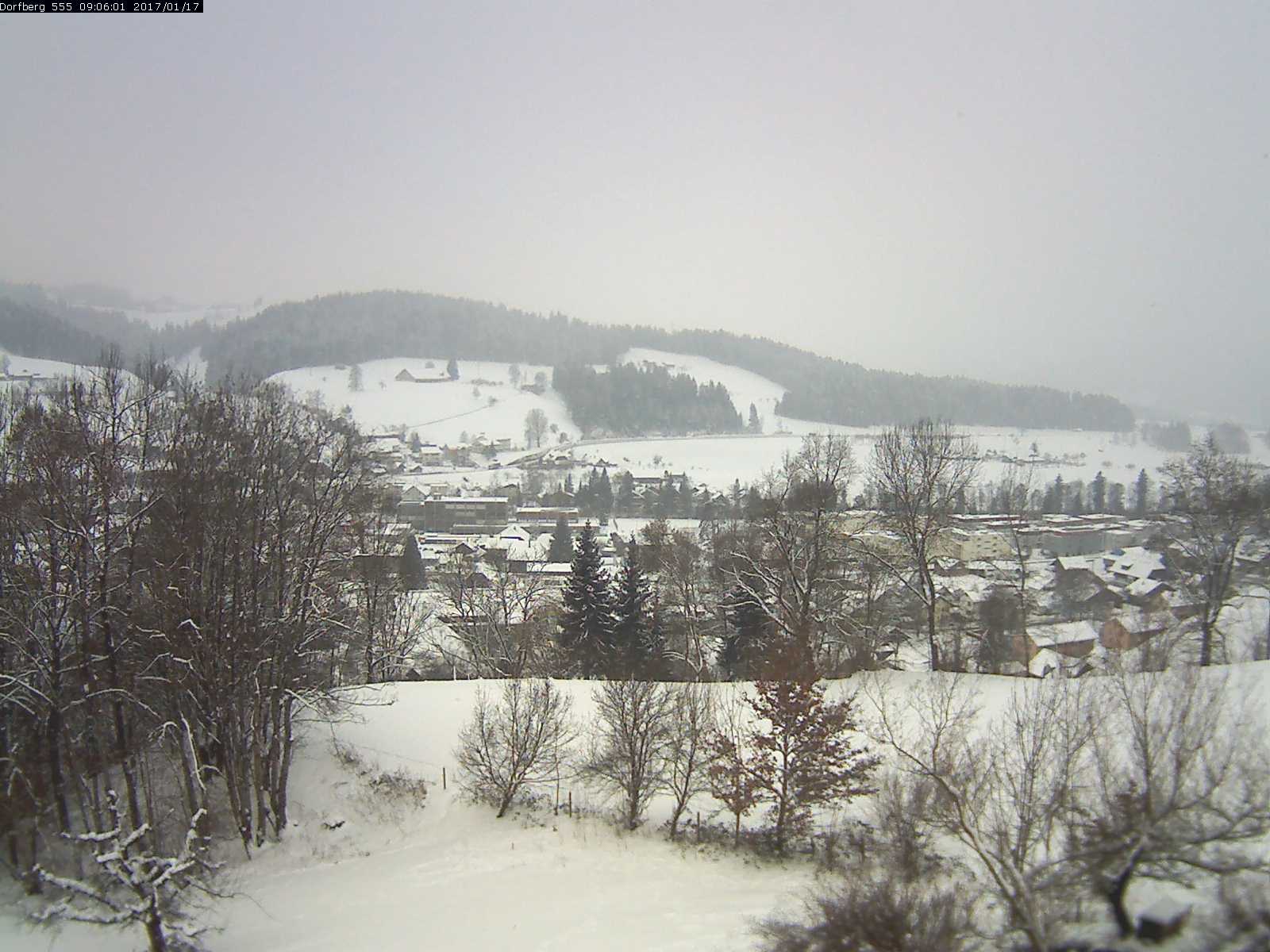 Webcam-Bild: Aussicht vom Dorfberg in Langnau 20170117-090601