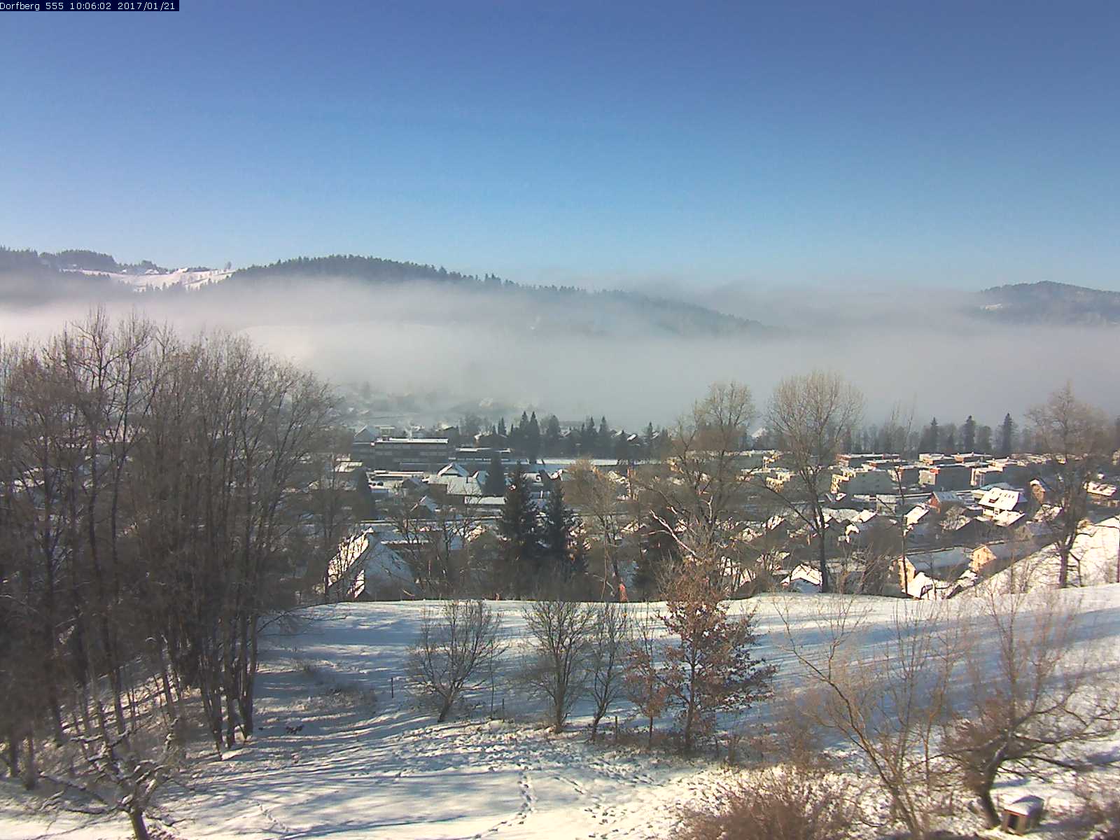 Webcam-Bild: Aussicht vom Dorfberg in Langnau 20170121-100601